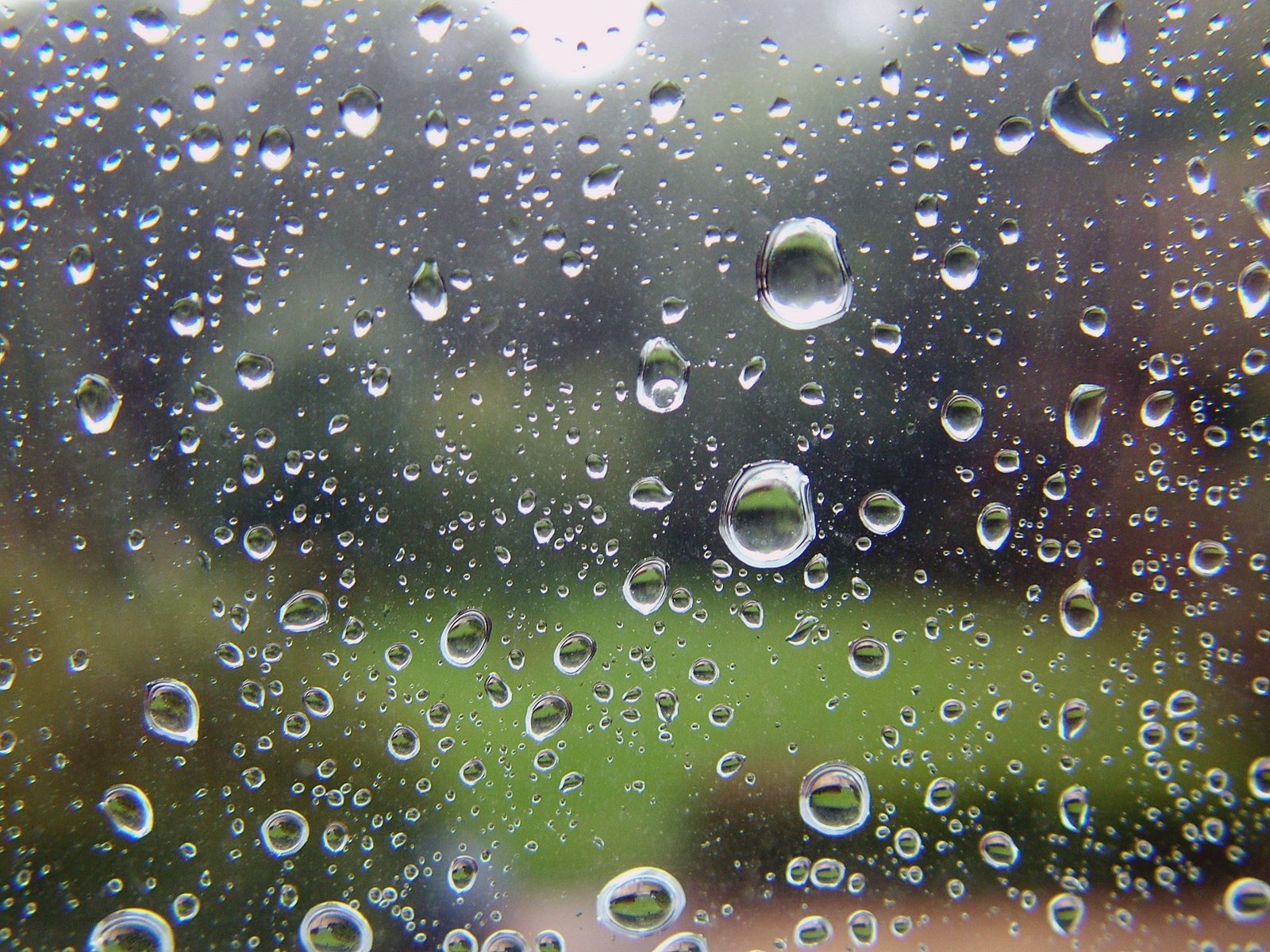 raindrops on a window glass and some grass