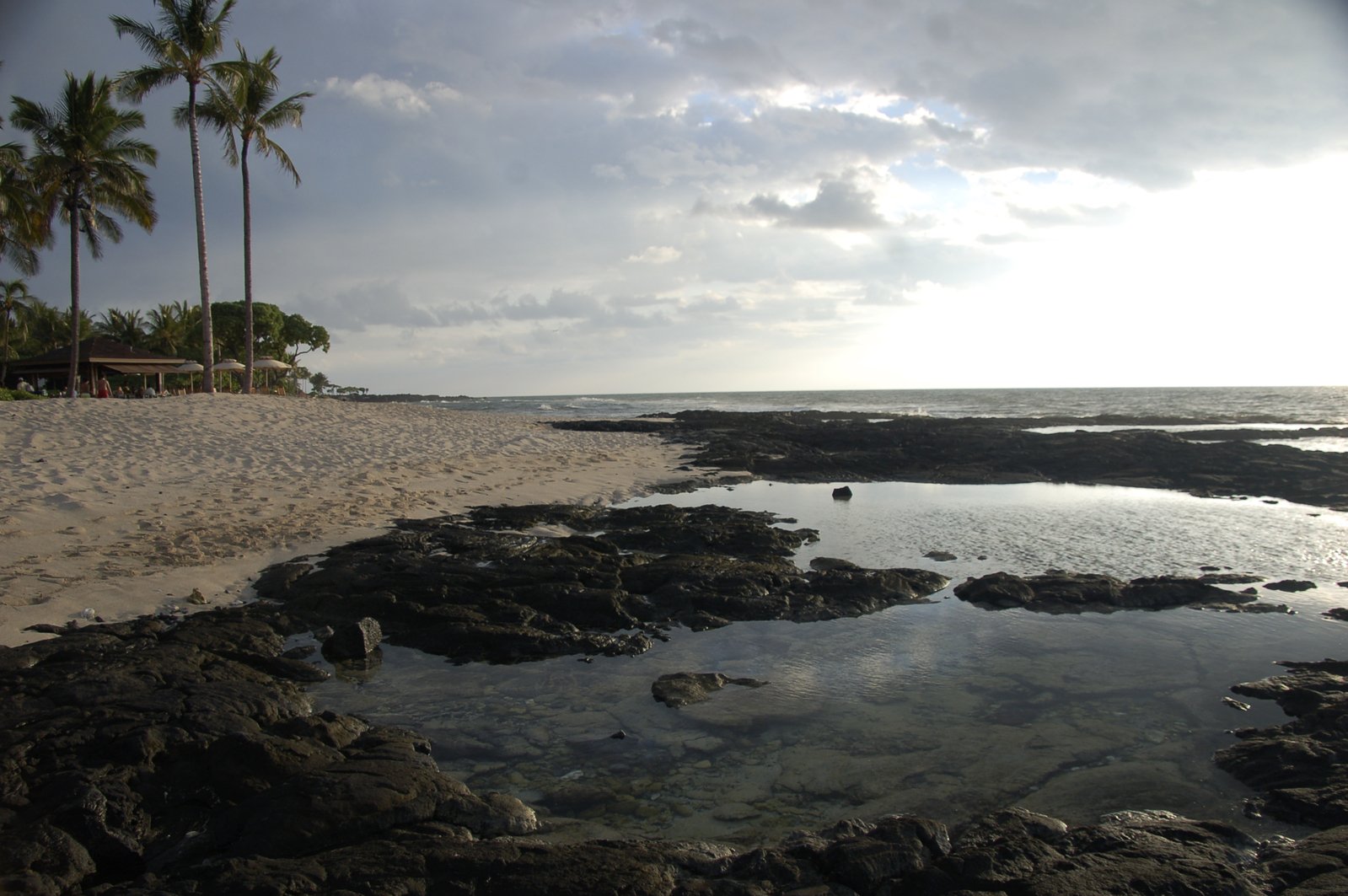 a sandy beach with a group of palm trees on it