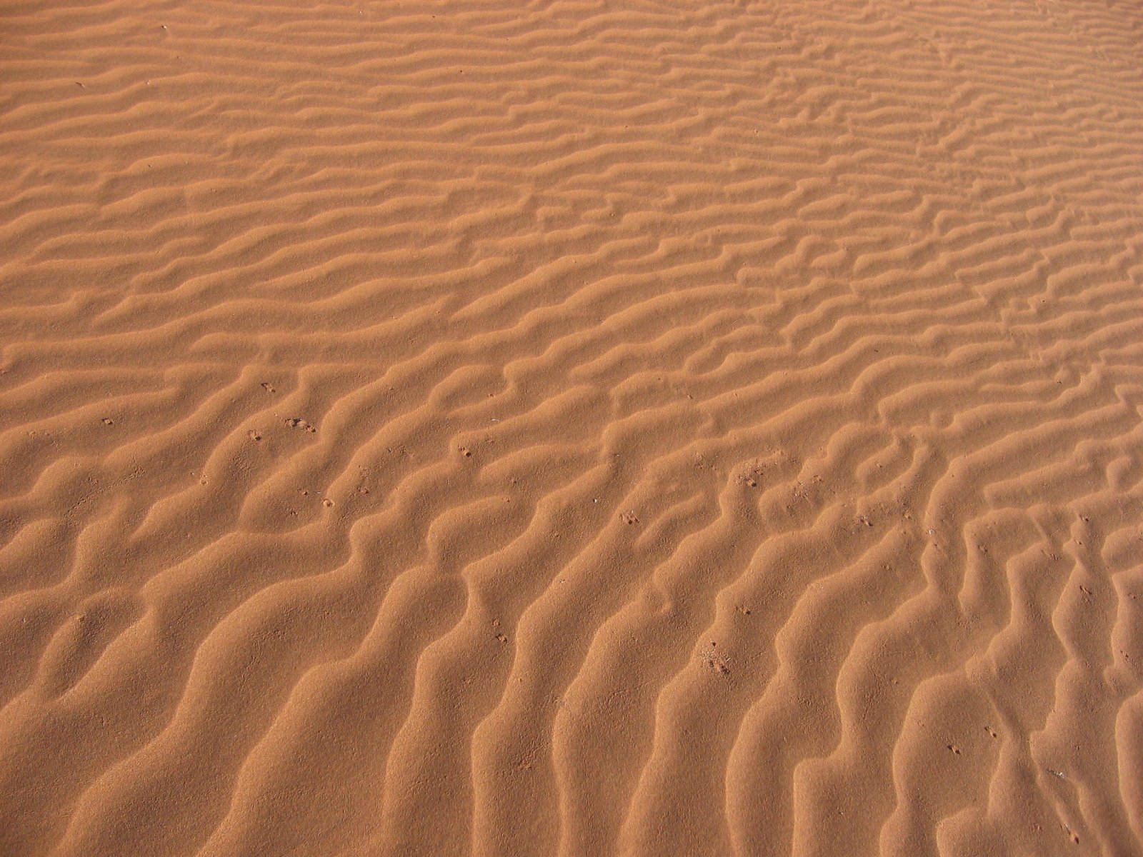 an image of a sandy surface with small waves