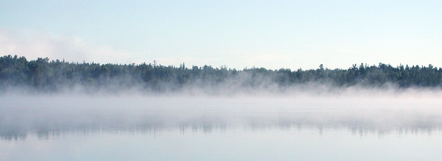 mist rolls across the water, and stands near the trees