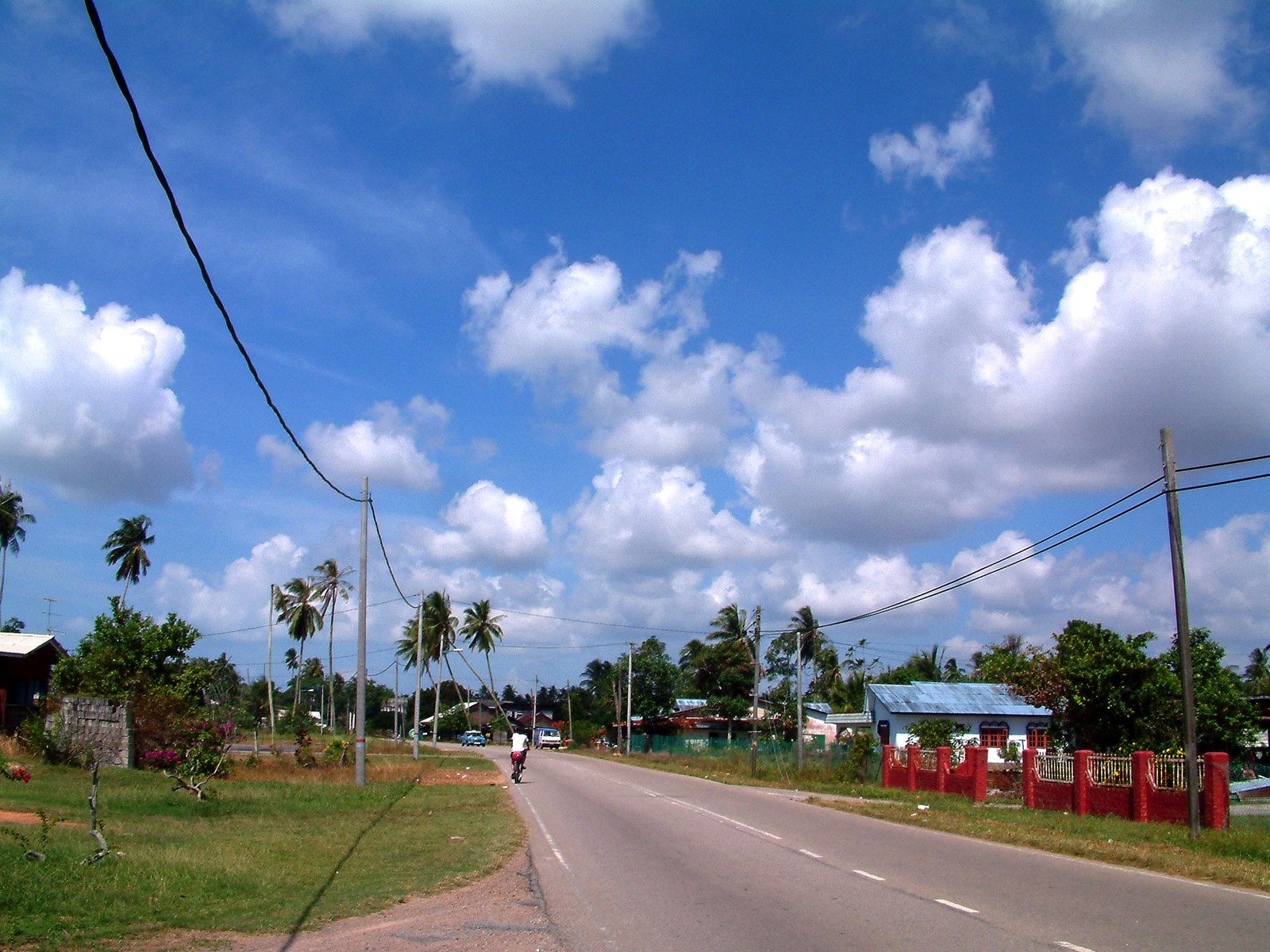 a road passing by houses and palm trees