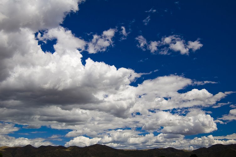 the clouds are puffy on the sky as a large cow stands under them