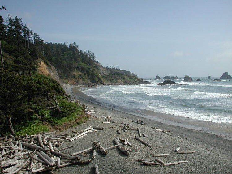 a beach is shown with wooden logs laying on the sand