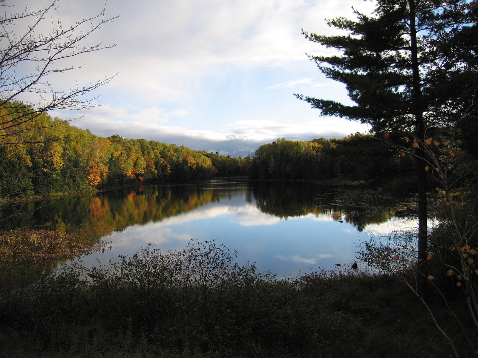 a pond surrounded by wooded woods on a cloudy day