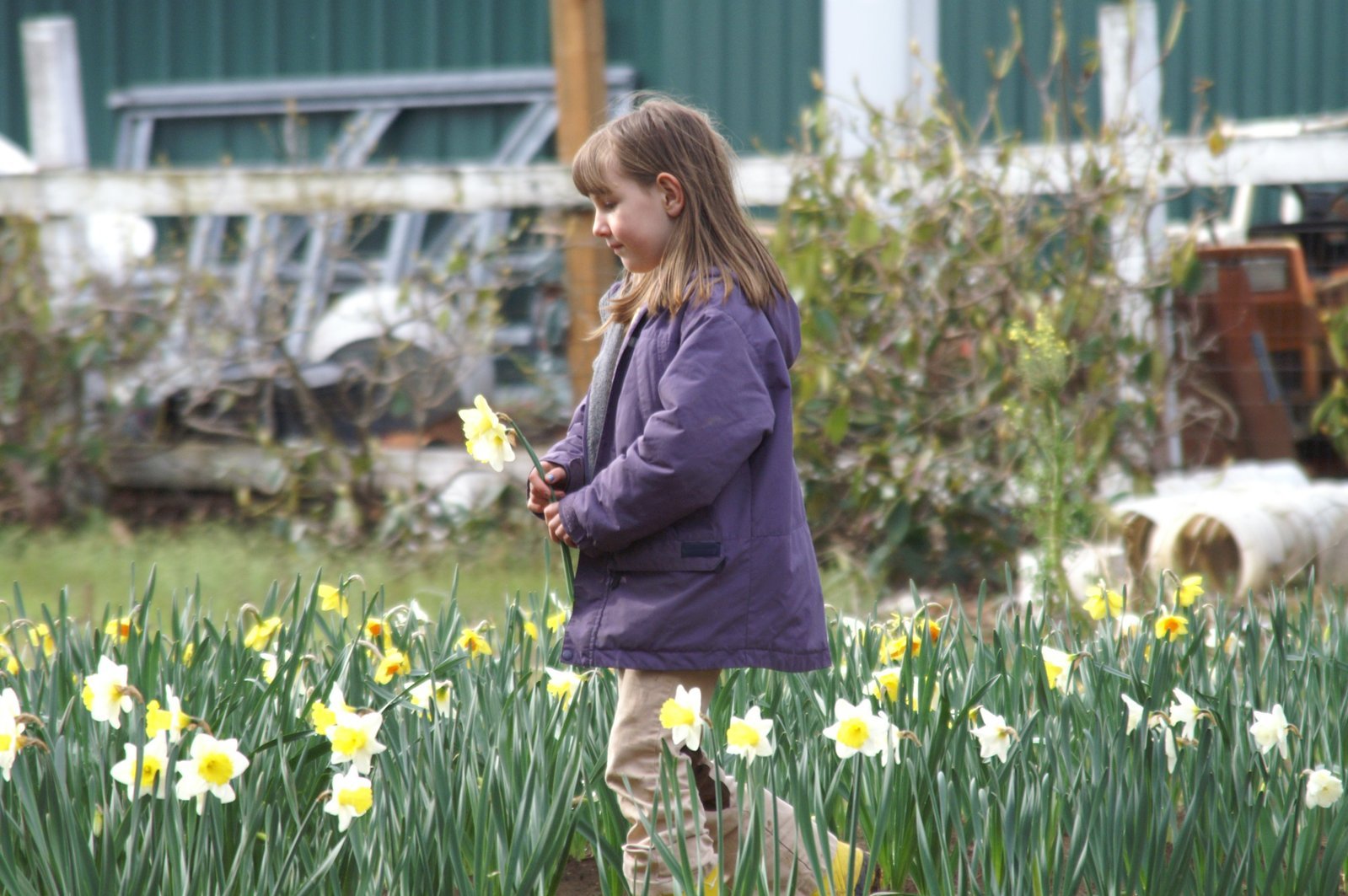 a girl is standing among flowers in the grass