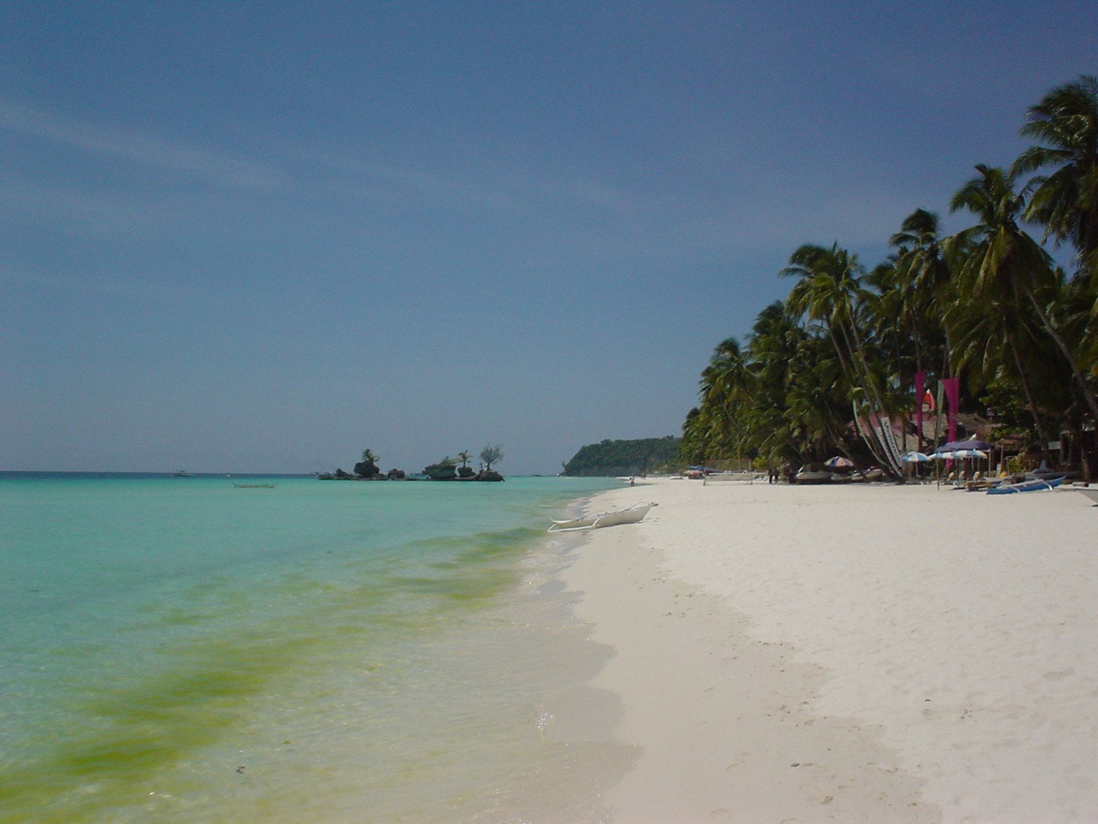 an ocean and beach are near some palm trees