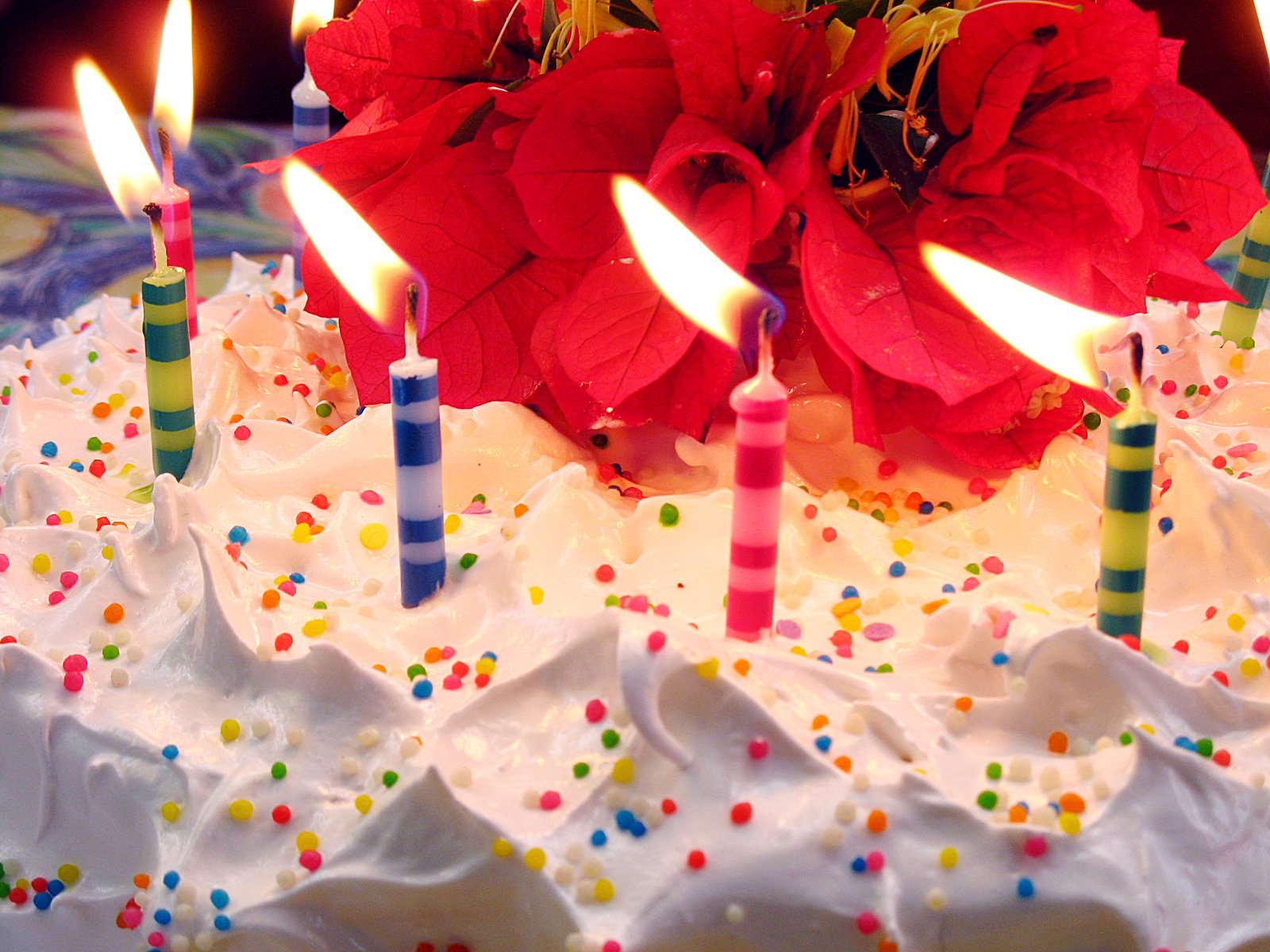 a group of candles are glowing in front of a cake