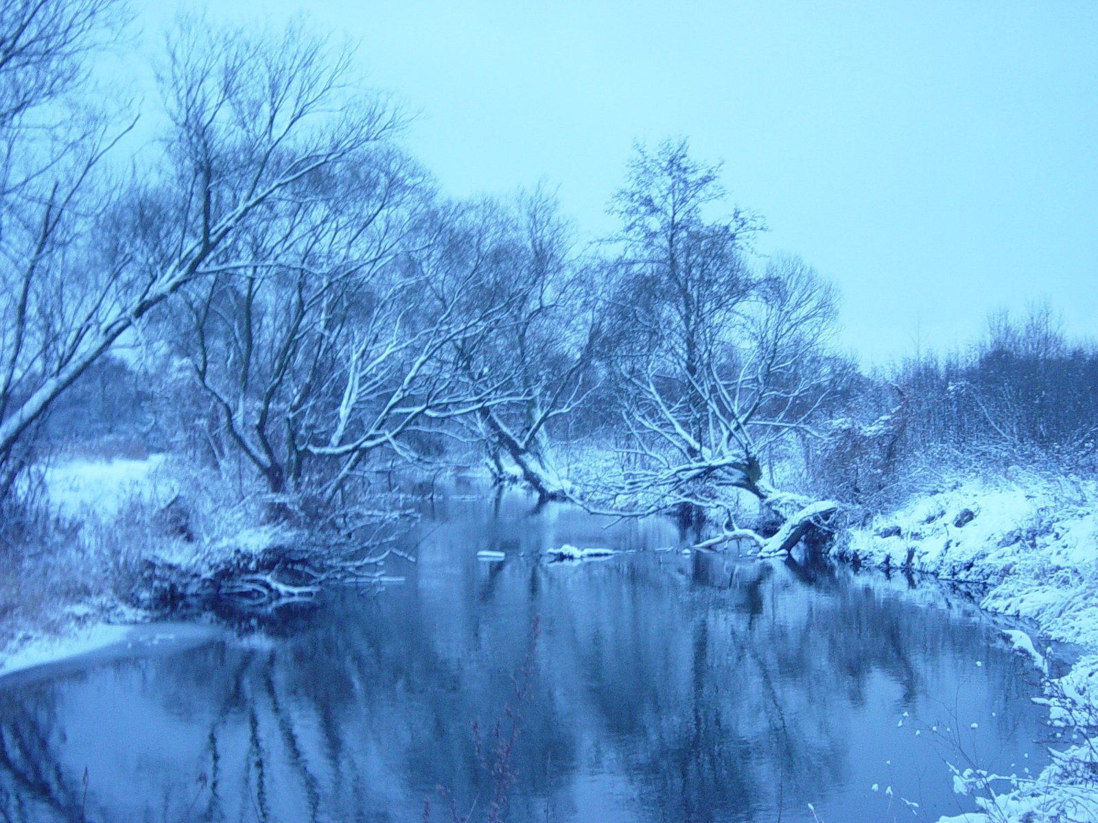 a river surrounded by winter trees next to a forest