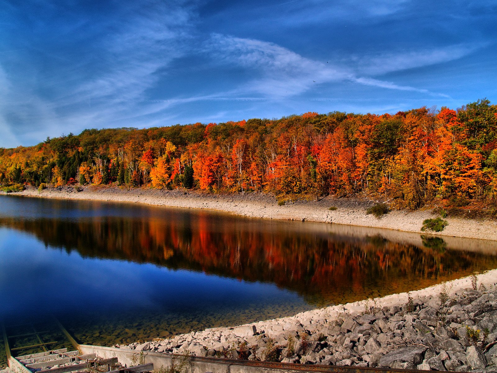 the view of the beautiful lake and colorful trees from the shore