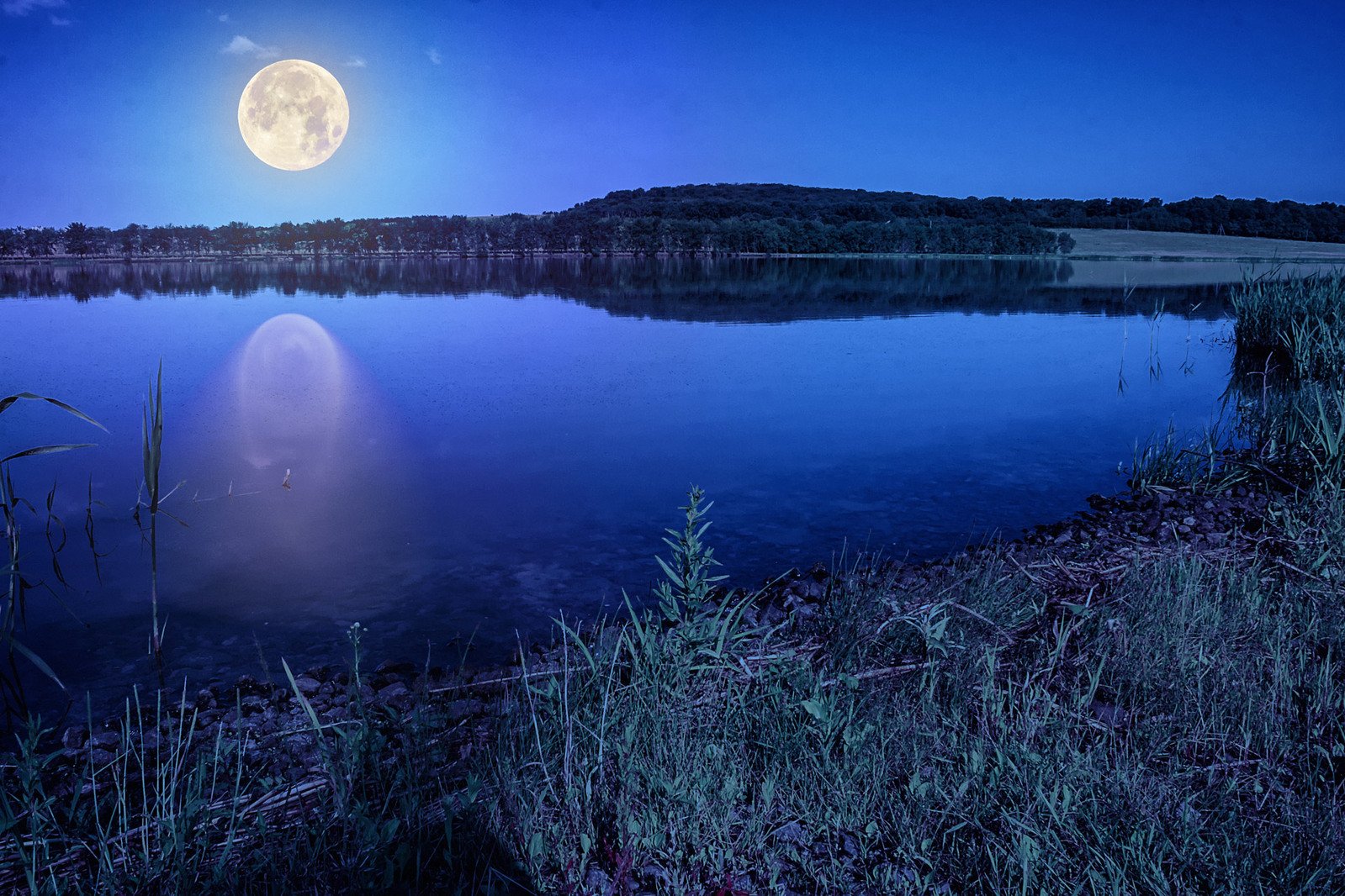 the night sky is filled with the full moon and is reflecting in the water
