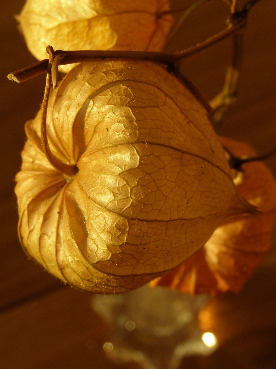 two oranges sit on top of a glass vase