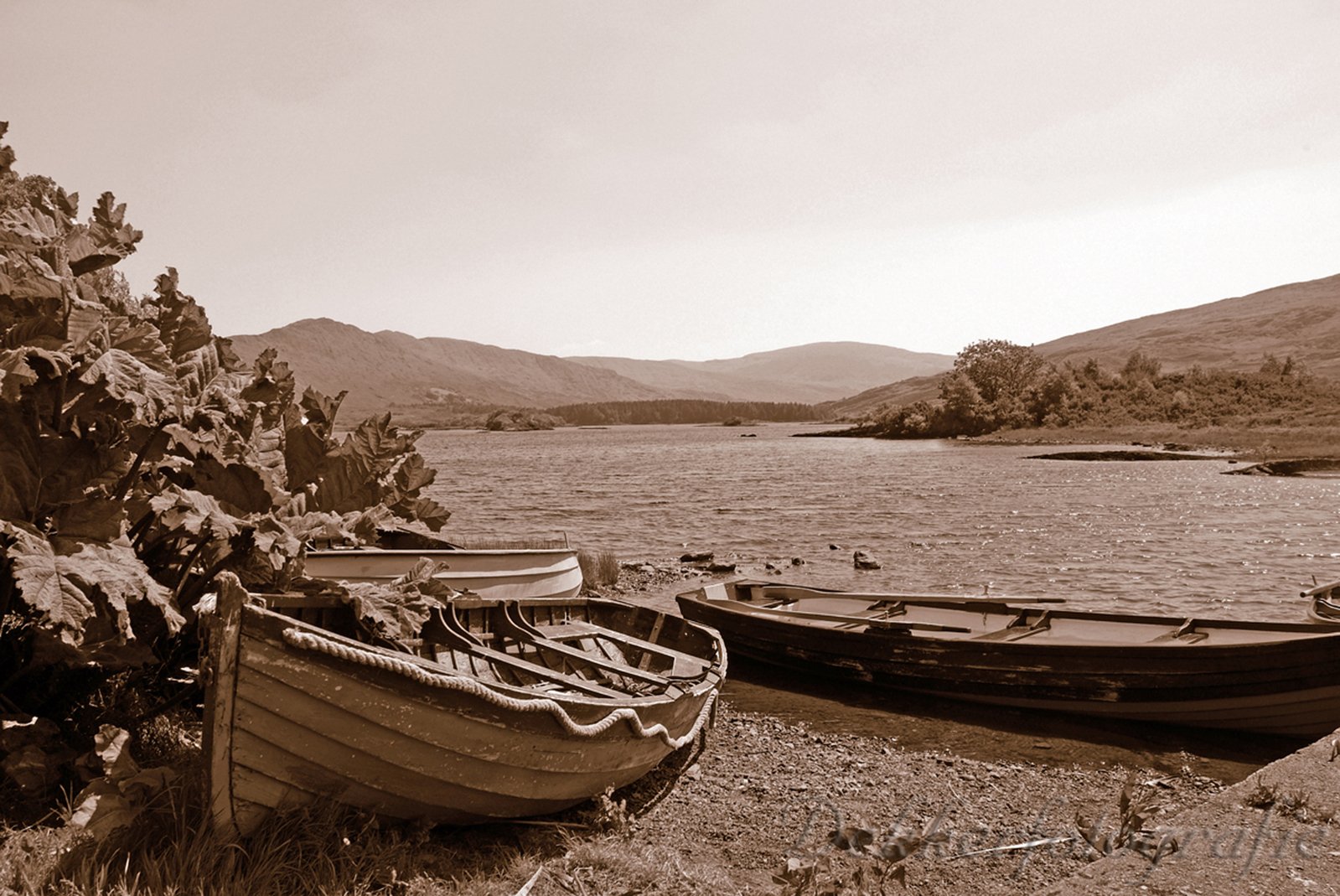 two boats in the water near each other