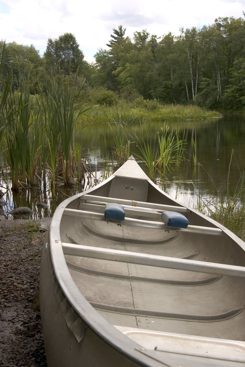 a row boat resting near some weeds and water