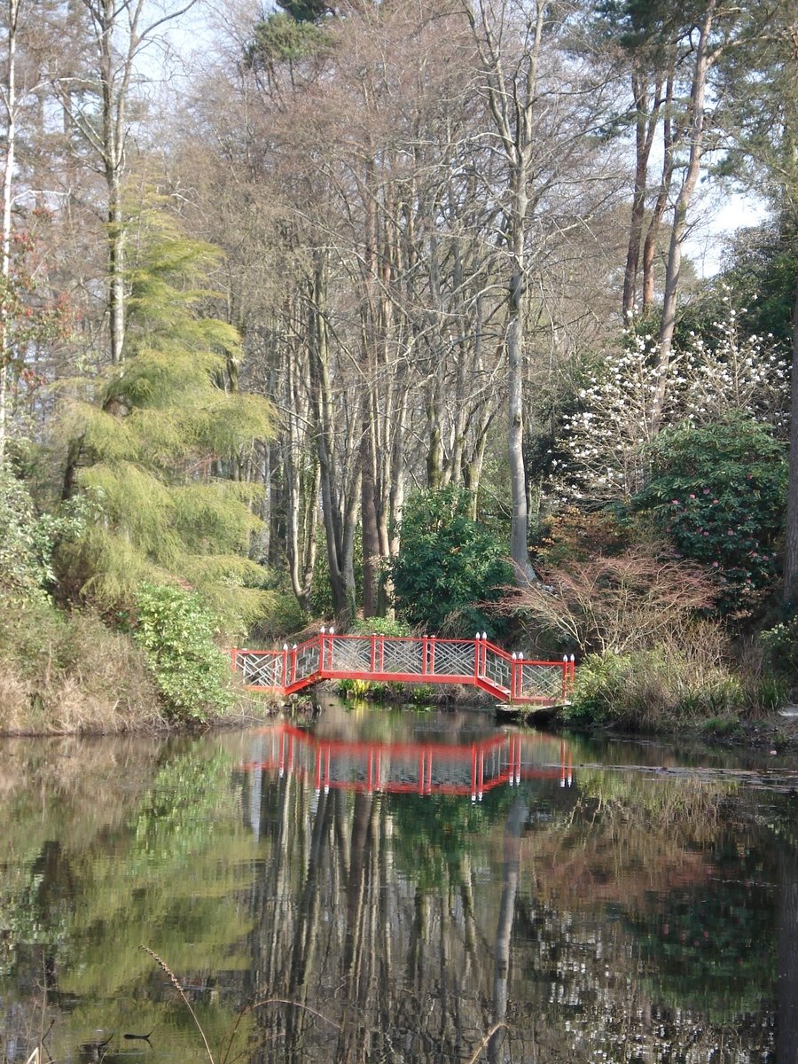 a bridge over a small pond near a forest