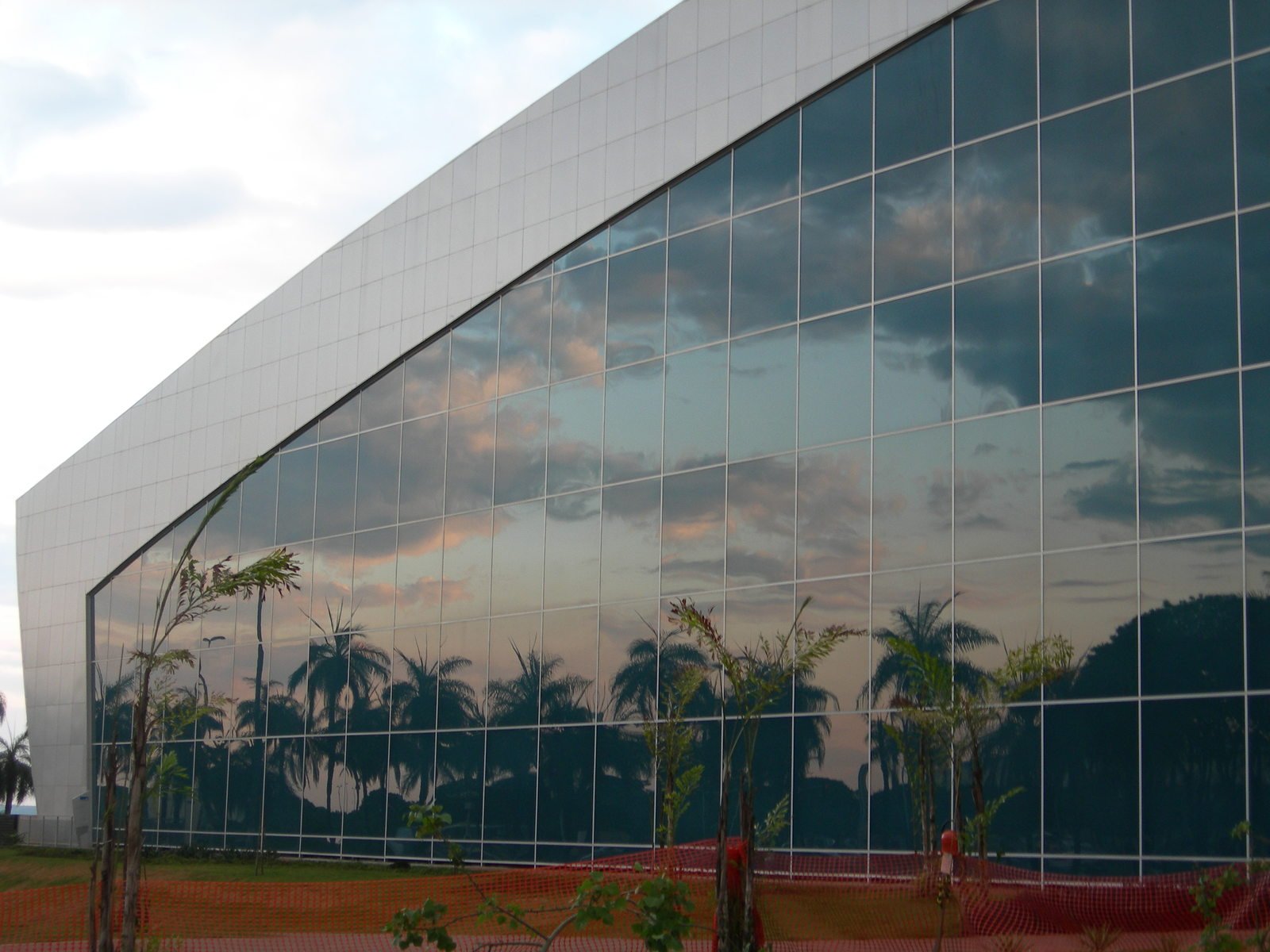 the windows of an office building with palm trees reflected in them