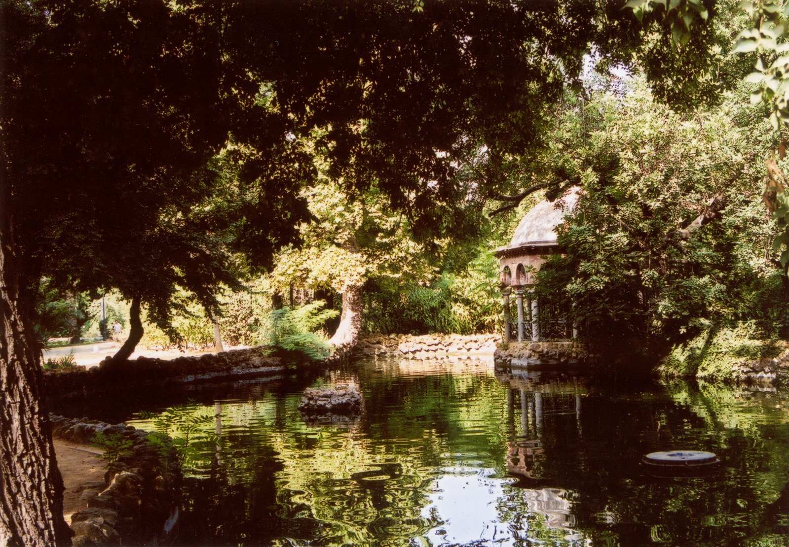 water in a pond surrounded by trees with small shack