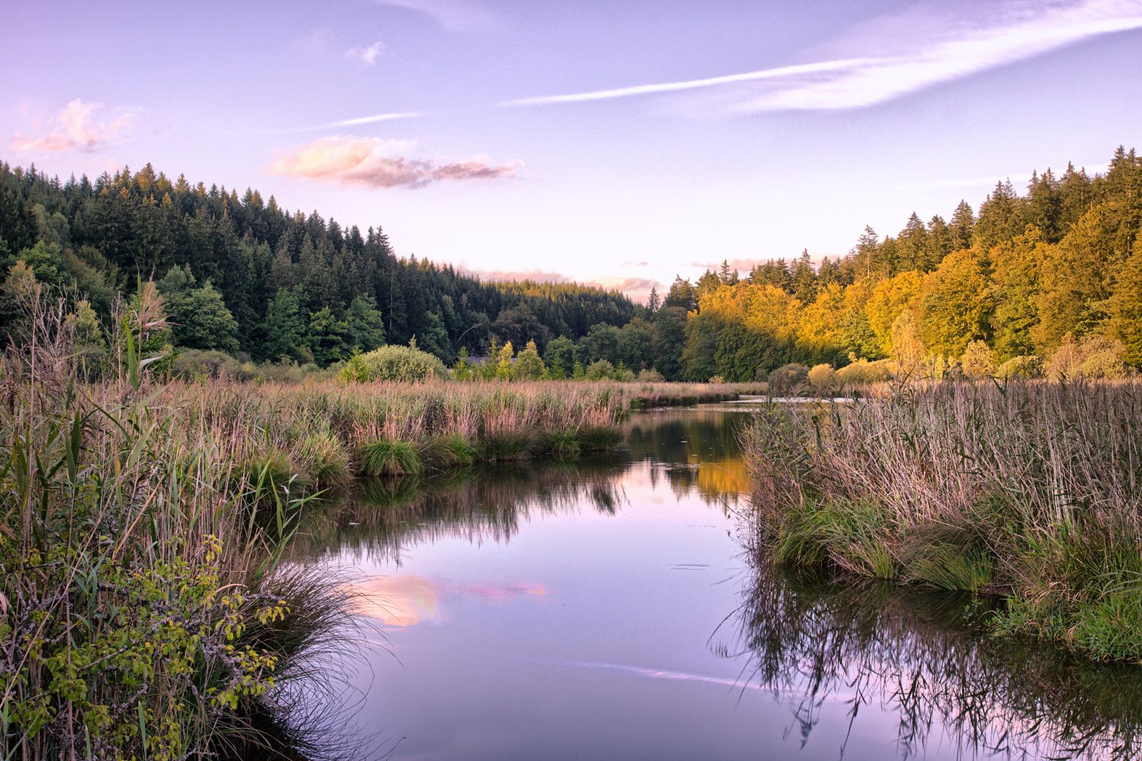 the stream is moving slowly through an empty field