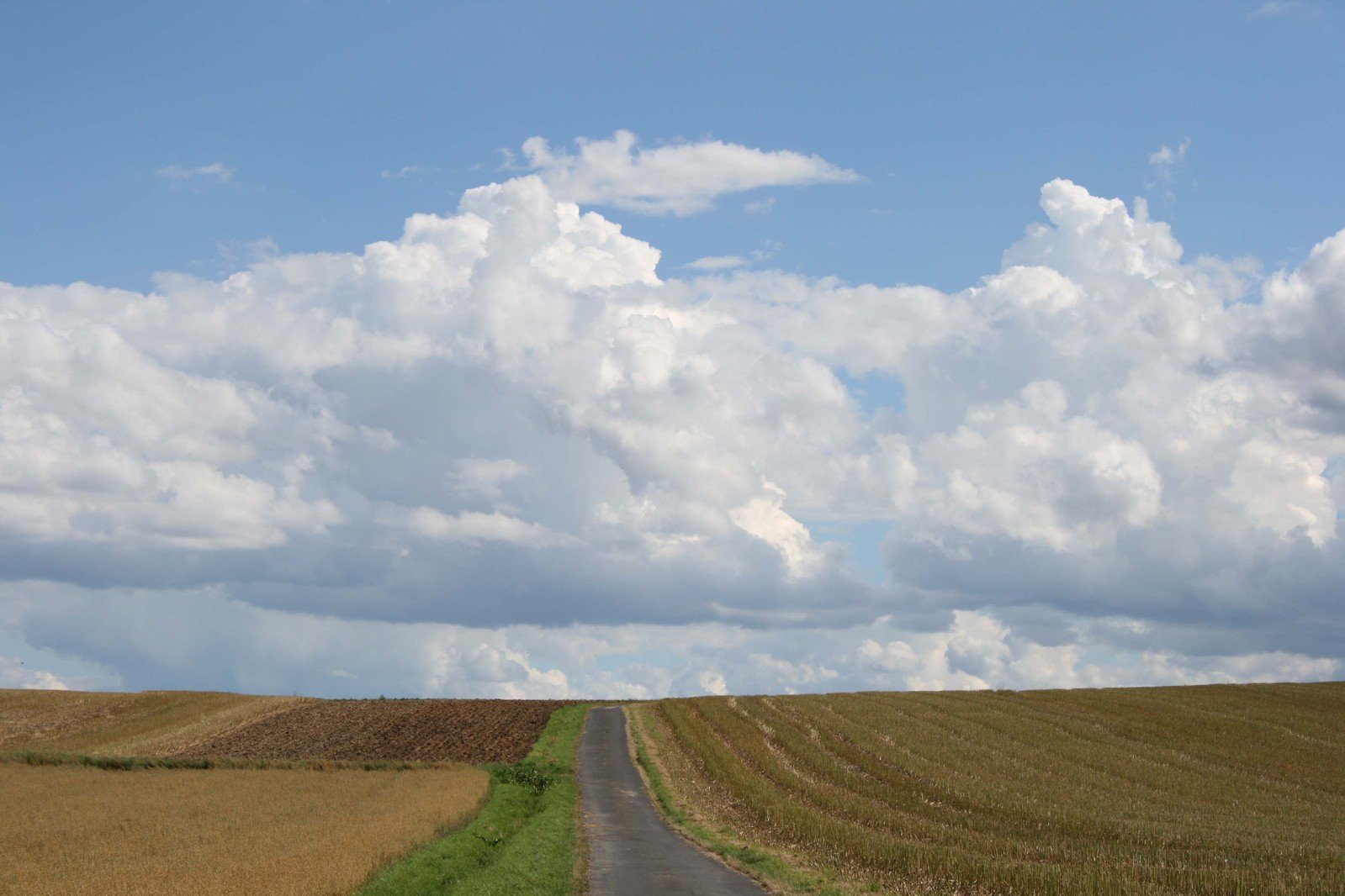 a long, empty road is shown near an open field