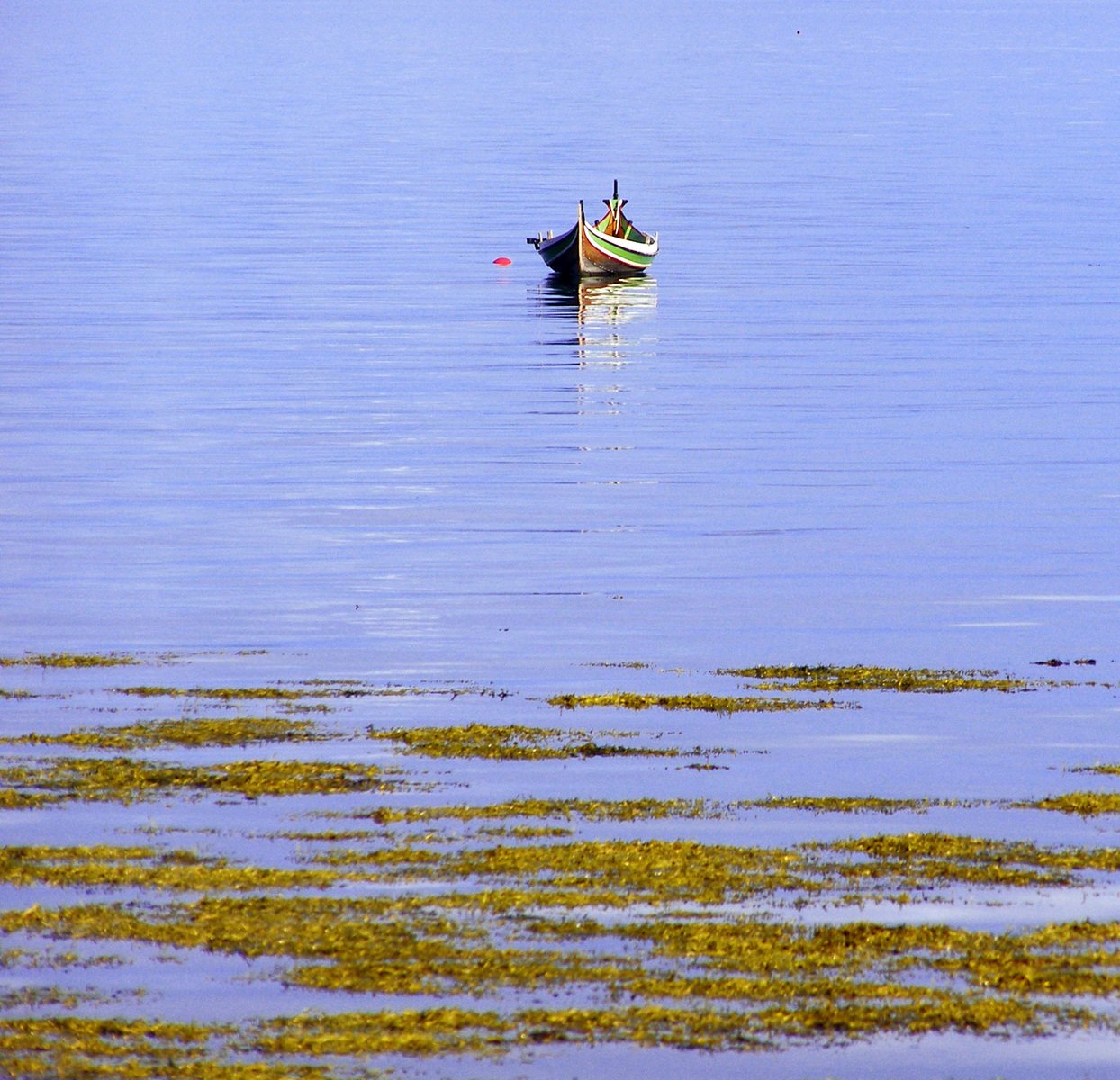 a small boat floating on top of a lake near shore