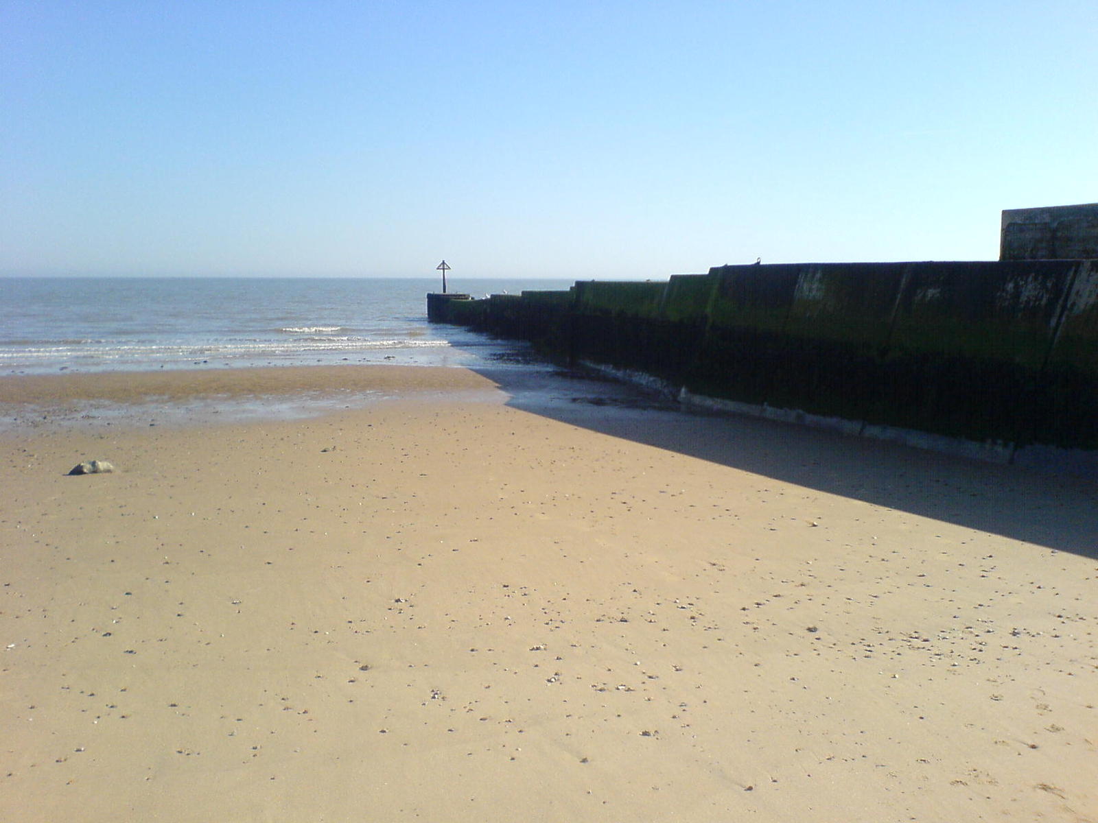 a beach area with the ocean and sand