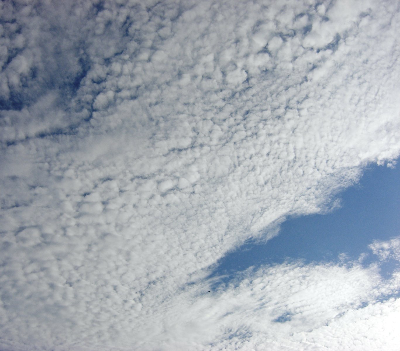 a blue sky filled with clouds and a bird in the foreground