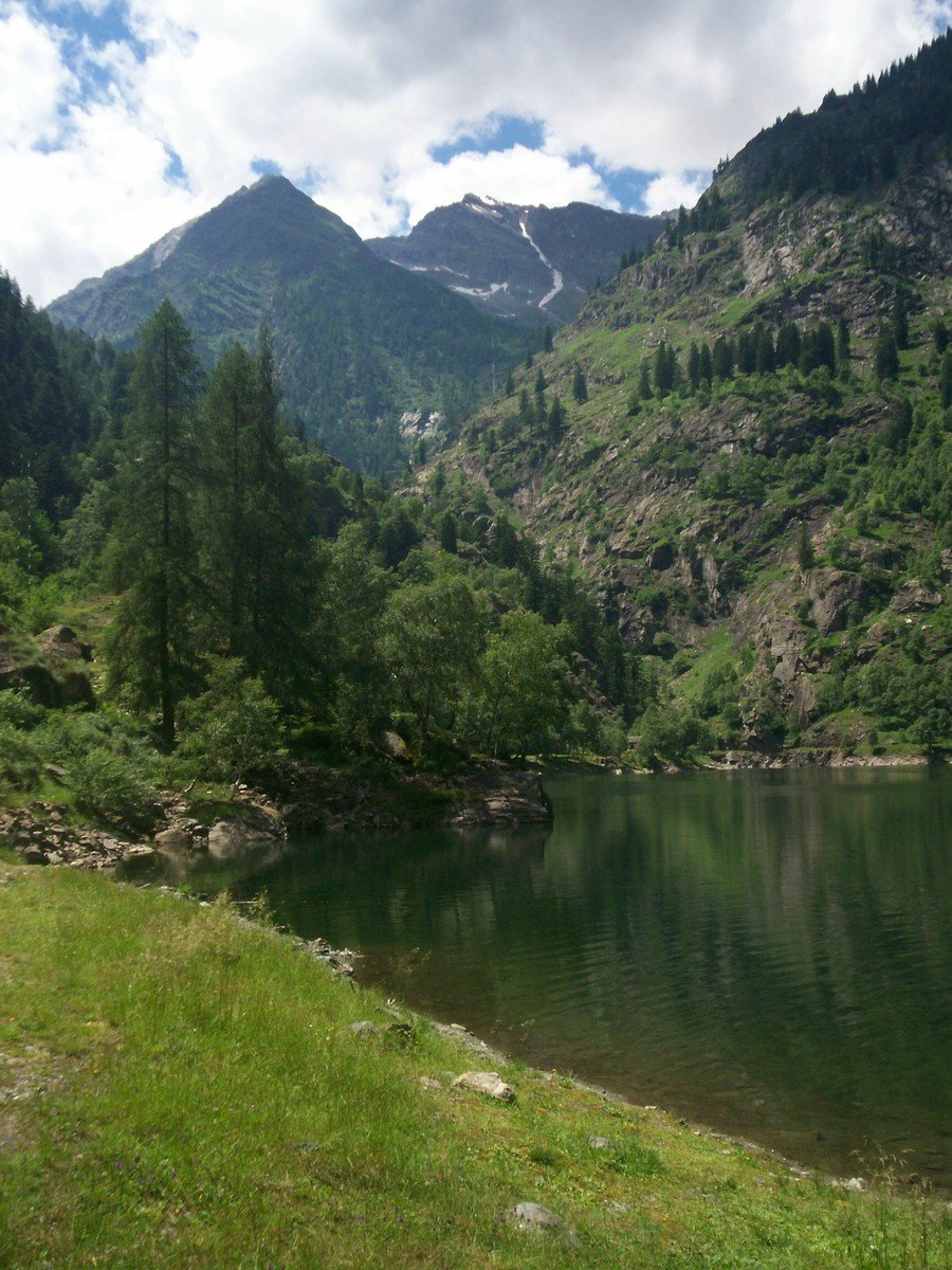 a lone bench on a field near a large lake