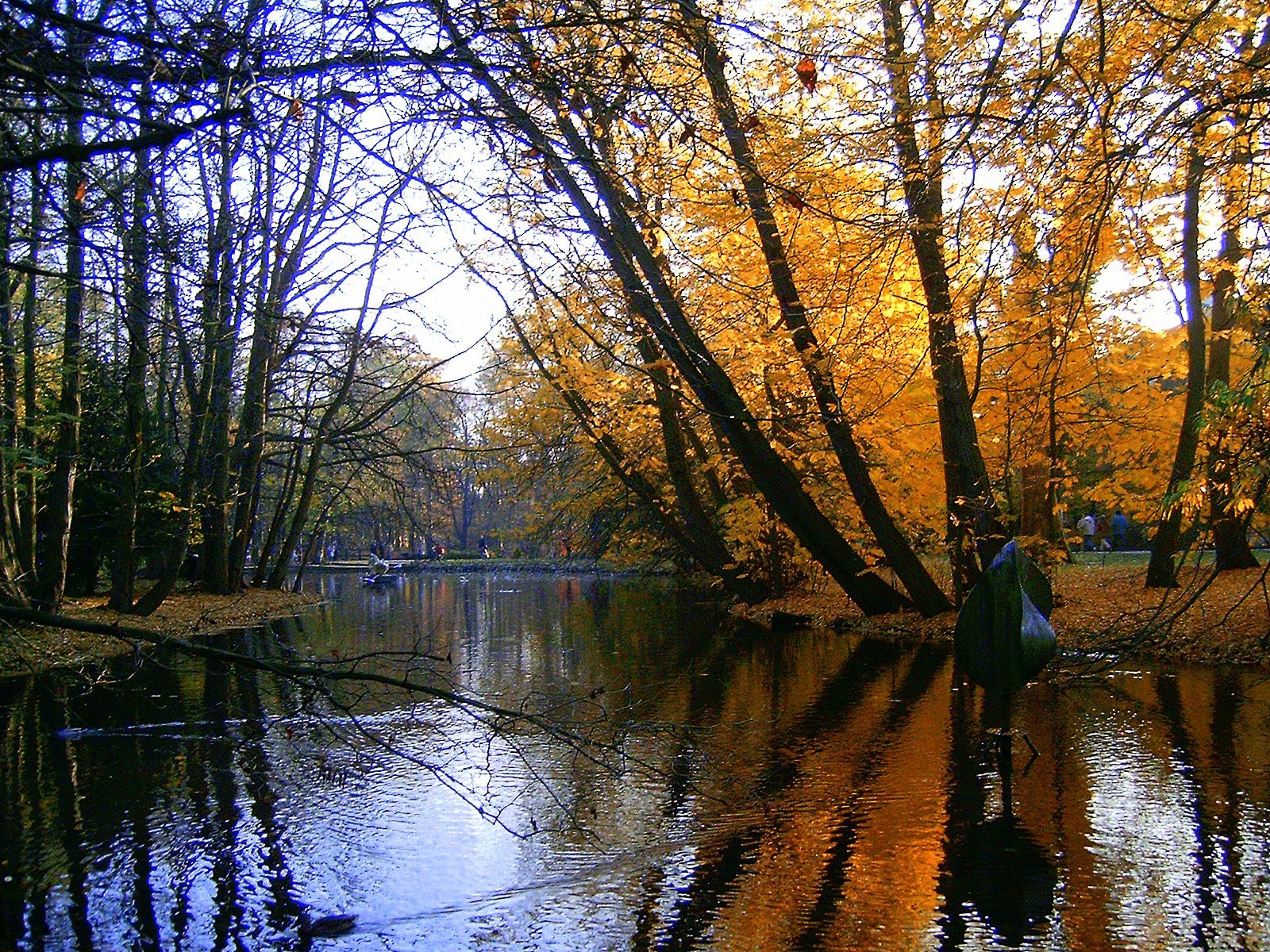 a pond surrounded by trees with yellow leaves