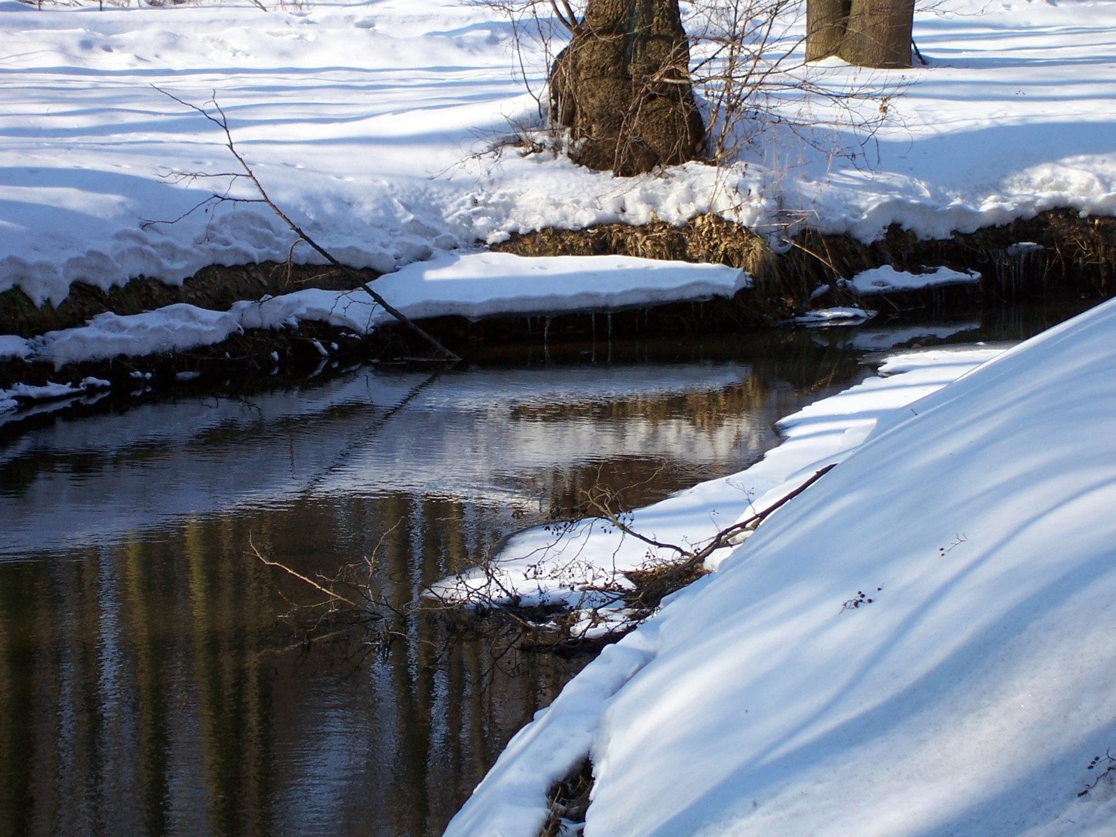 a river that has a snow covered bank next to a tree