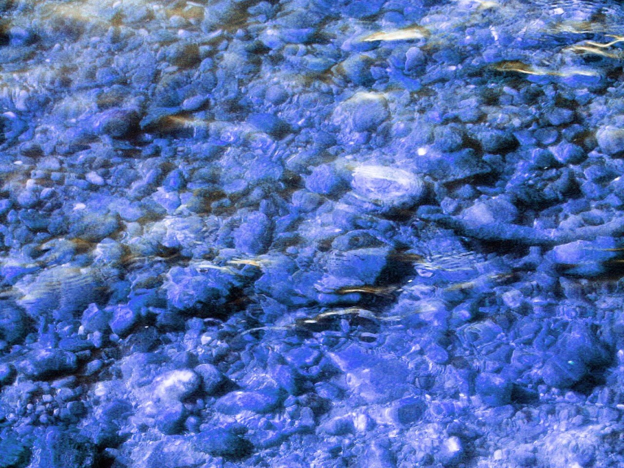 a view of bubbles in water at the bottom of some rocks