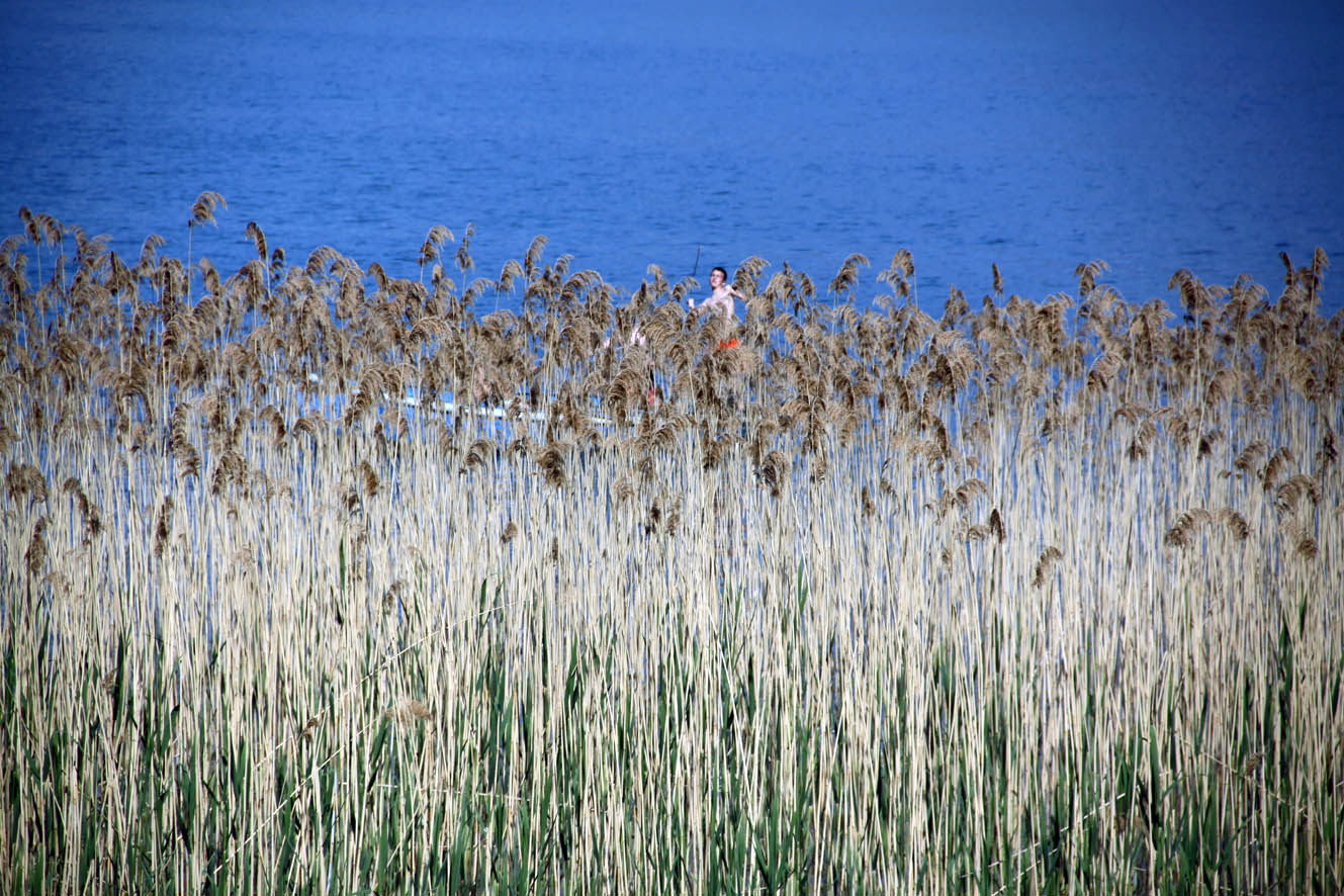 two people riding horseback through tall grass next to a lake