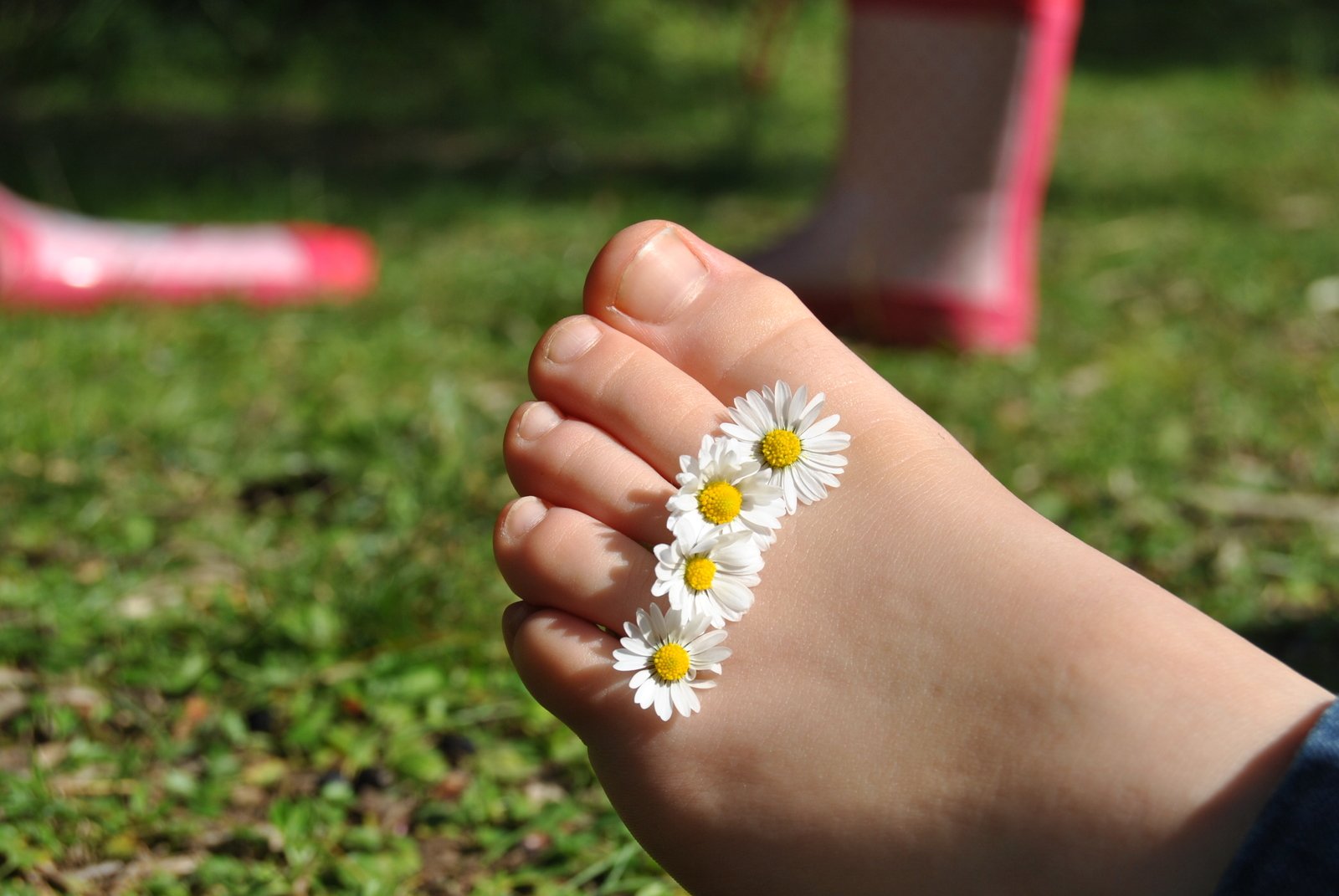 close up of a person's feet with a pair of daisies on their toe