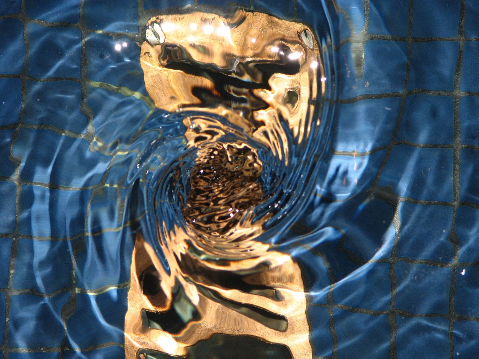 a blue water pool with patterns of small bubbles floating on it