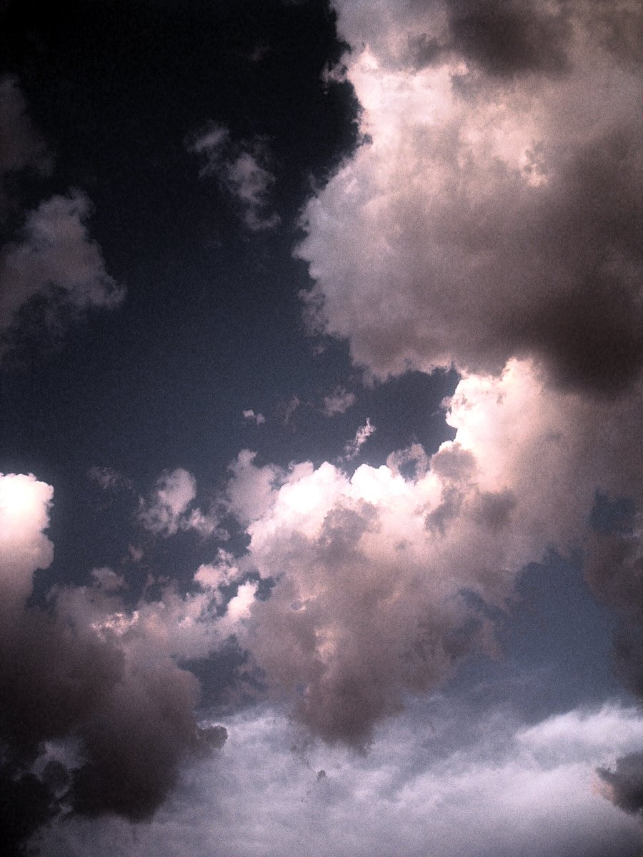 a plane flying through cloudy skies with a bird in the foreground