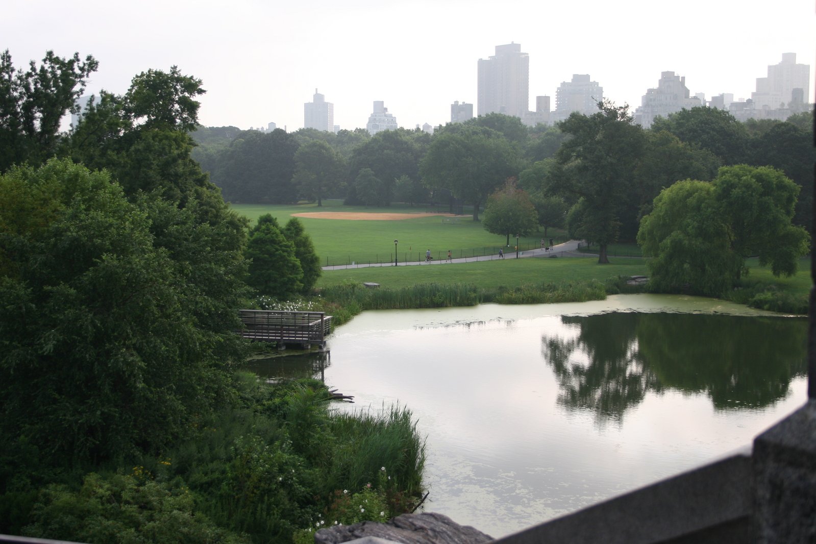 a body of water that is near a forest