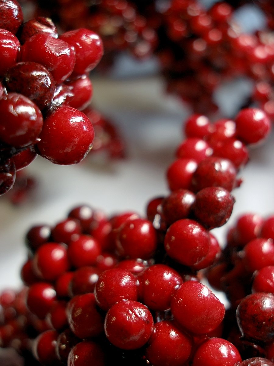 a close up of berries in a cluster