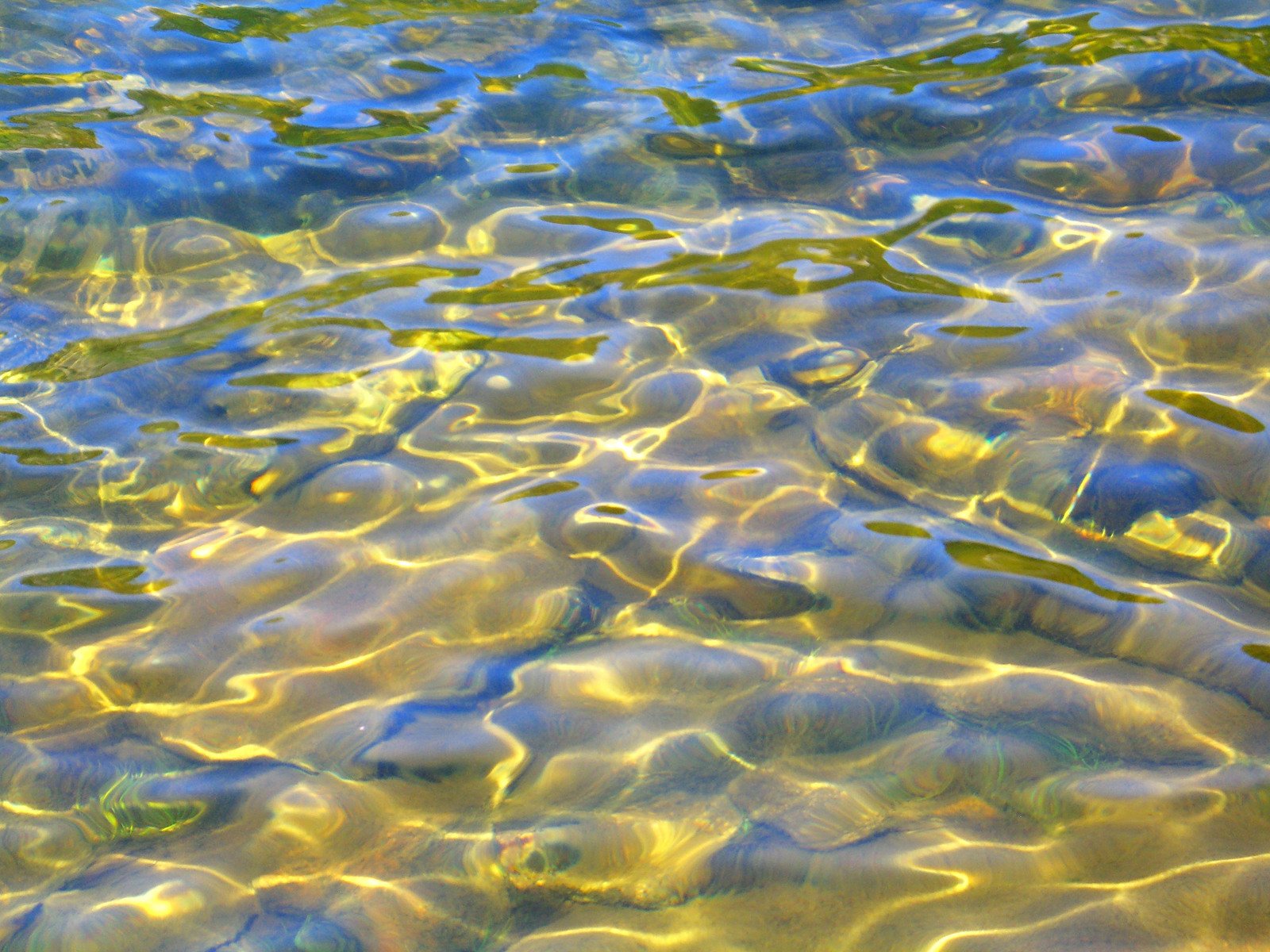 the water is clear and crystal, reflecting light
