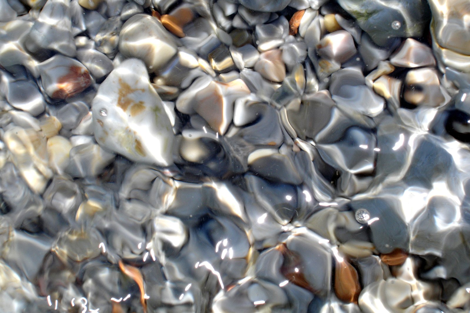 a group of rocks that have a pattern on it