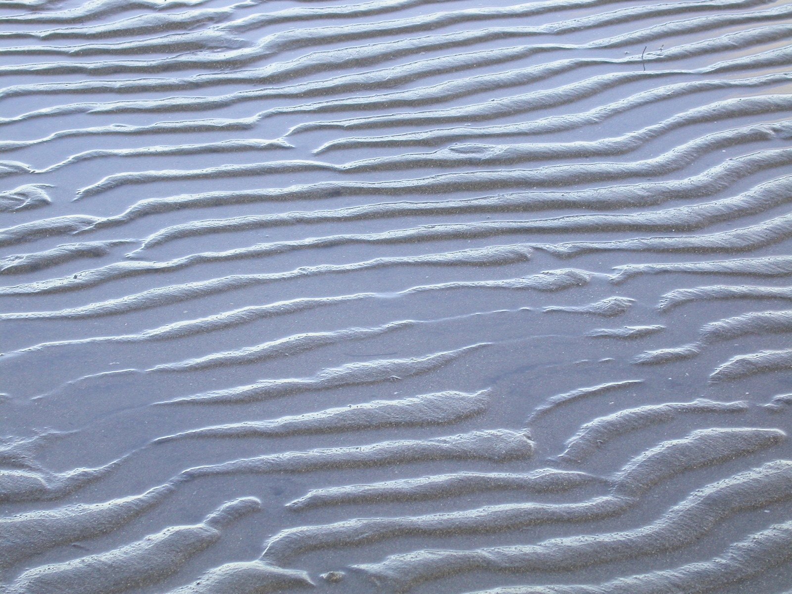 the footprints in the sand are seen in the water