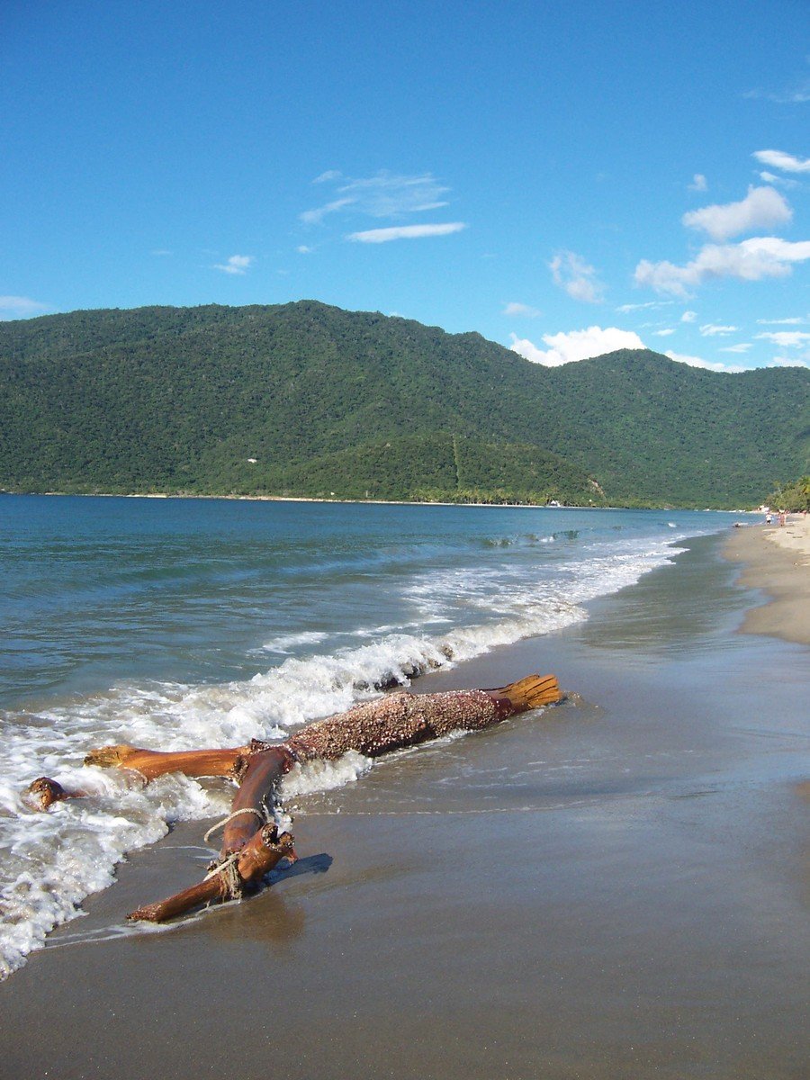 a log sits on the beach next to the ocean