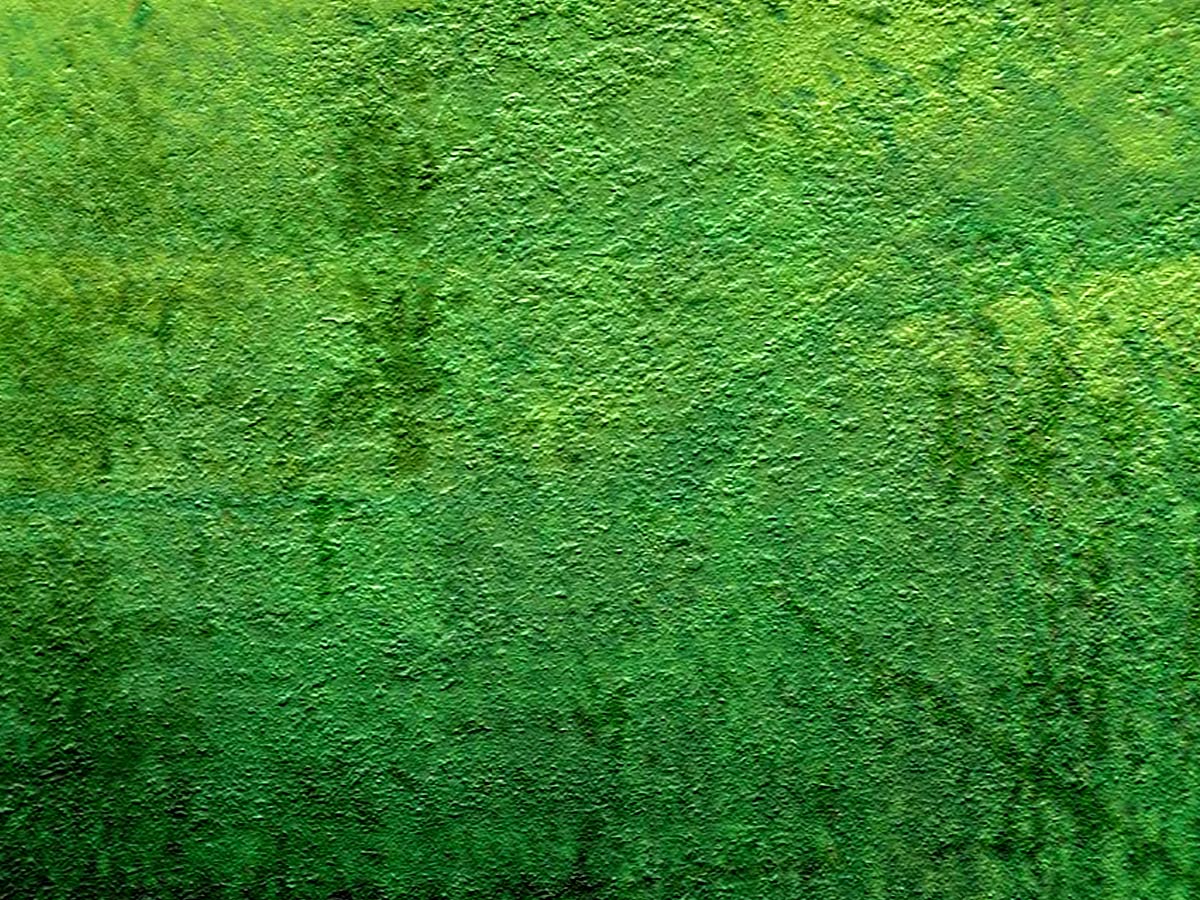 green wall paper is very pretty and soft