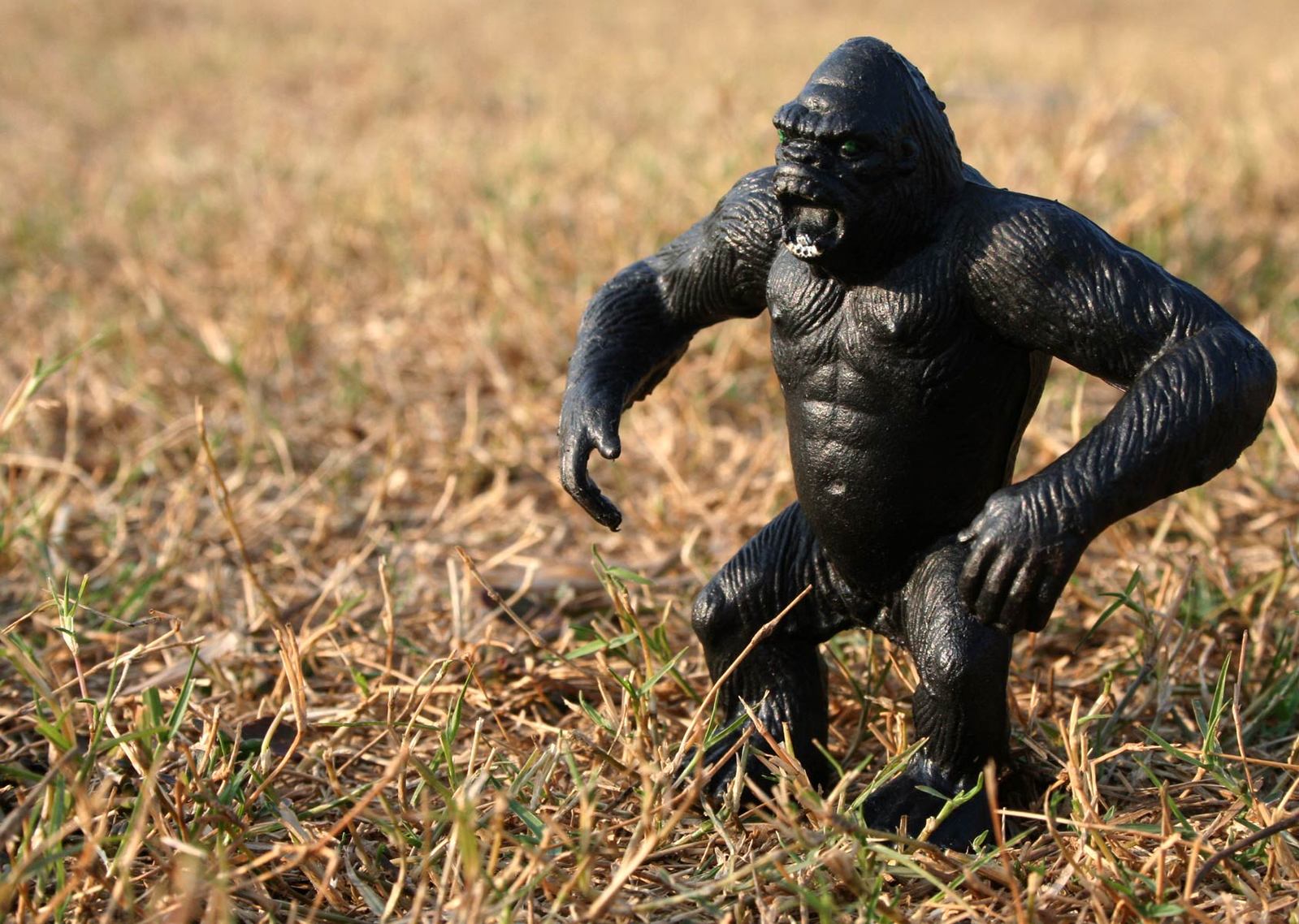 a big - footed, black gorilla walking in a field