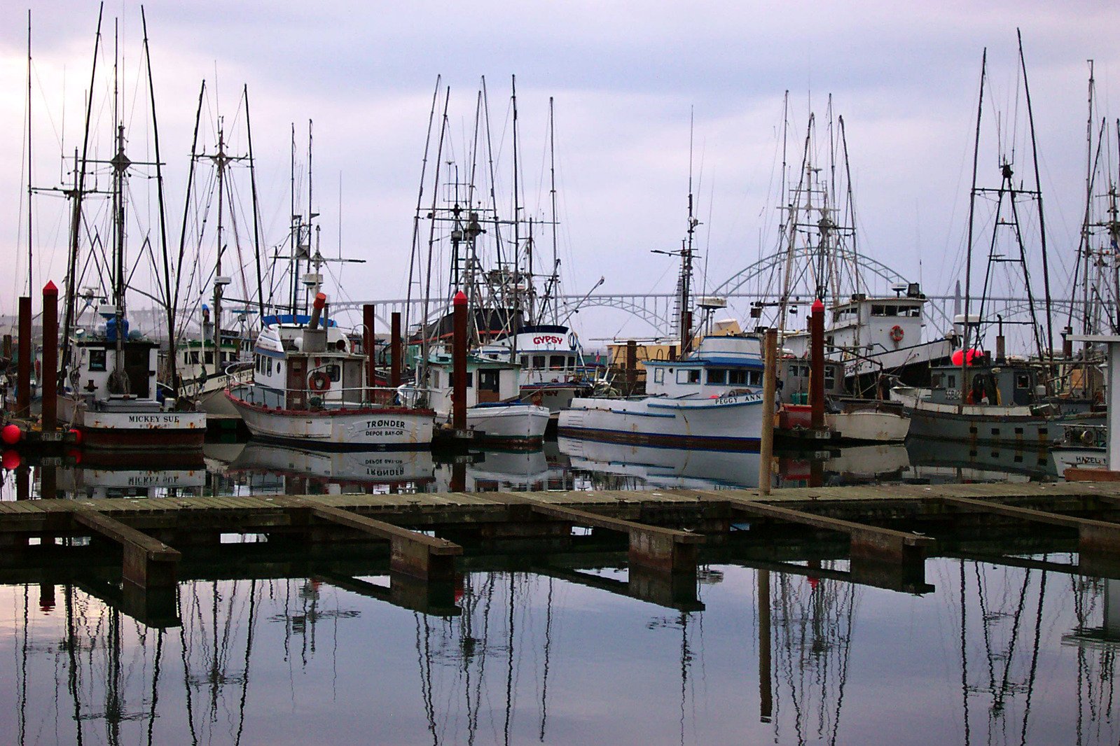 multiple fishing boats moored at a pier in the ocean