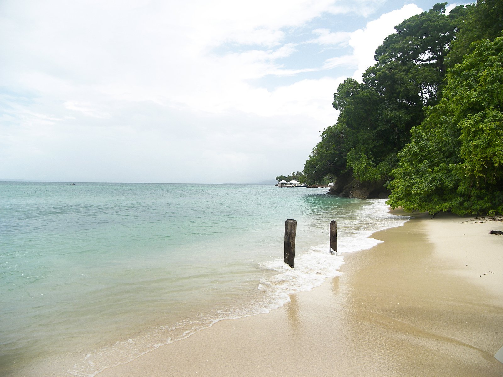 the blue water on a beach with trees