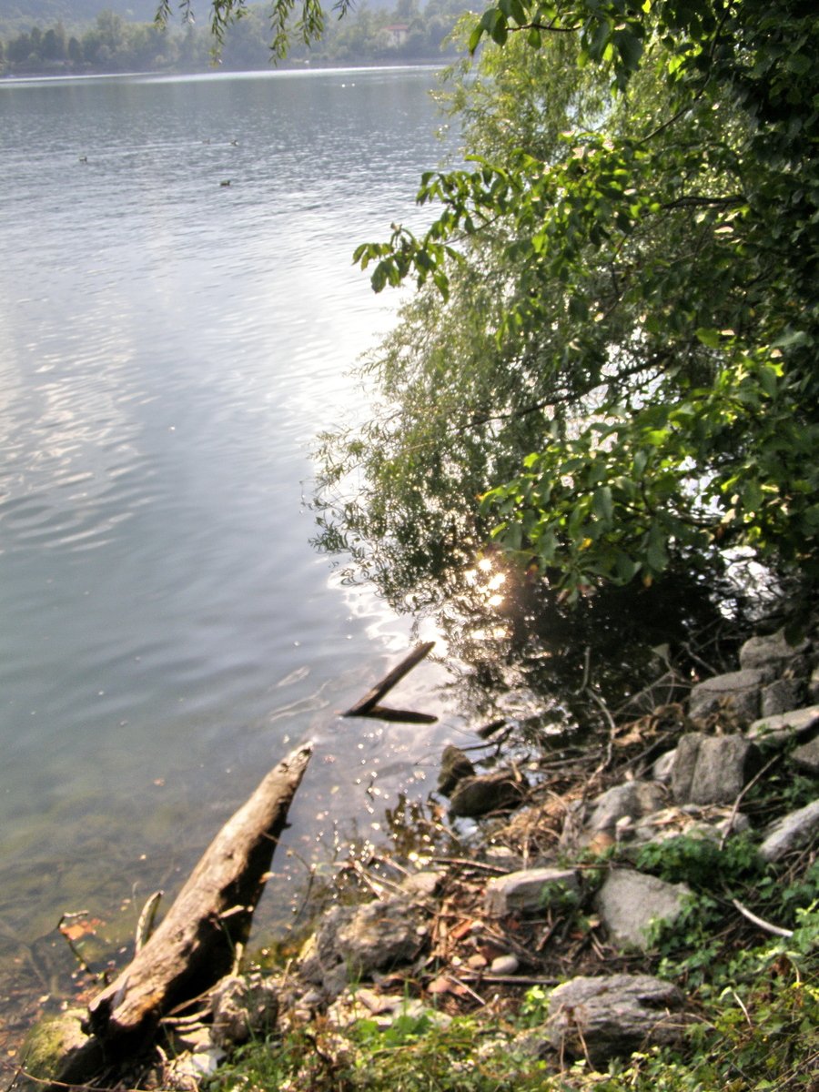 a large body of water surrounded by rocks and trees