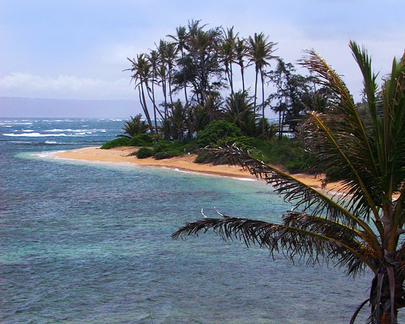 a view from above a tropical area with beach, trees and water