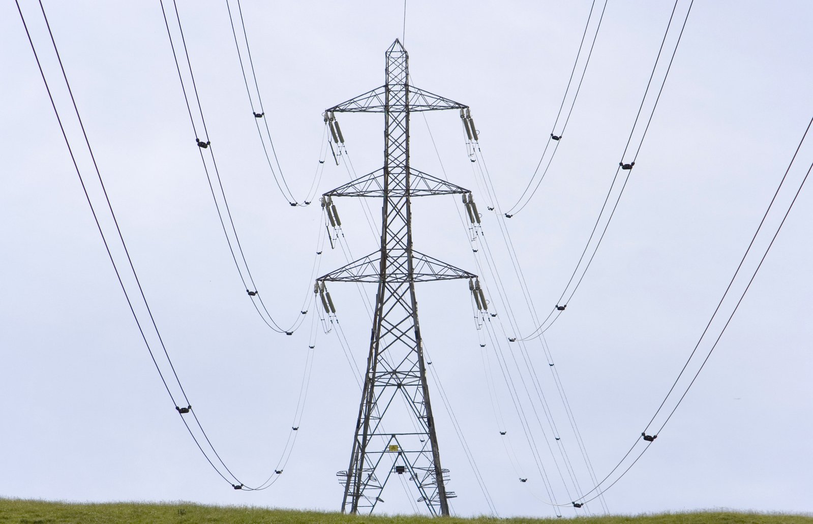 an electric line that is in the grass