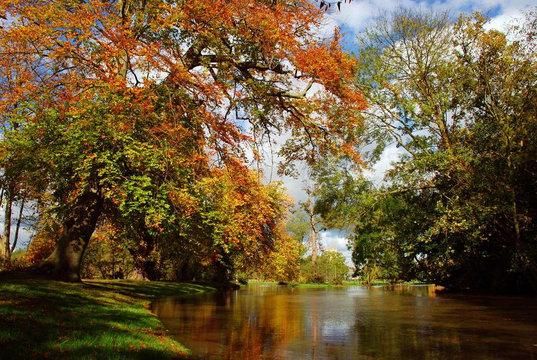 trees near the river and water, with autumn colored leaves