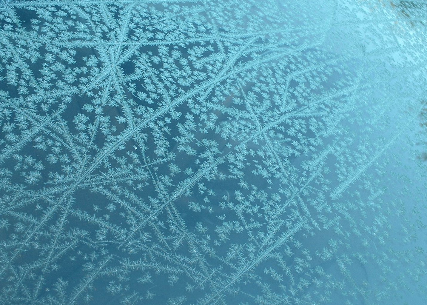 the pattern on the window shows snow and trees