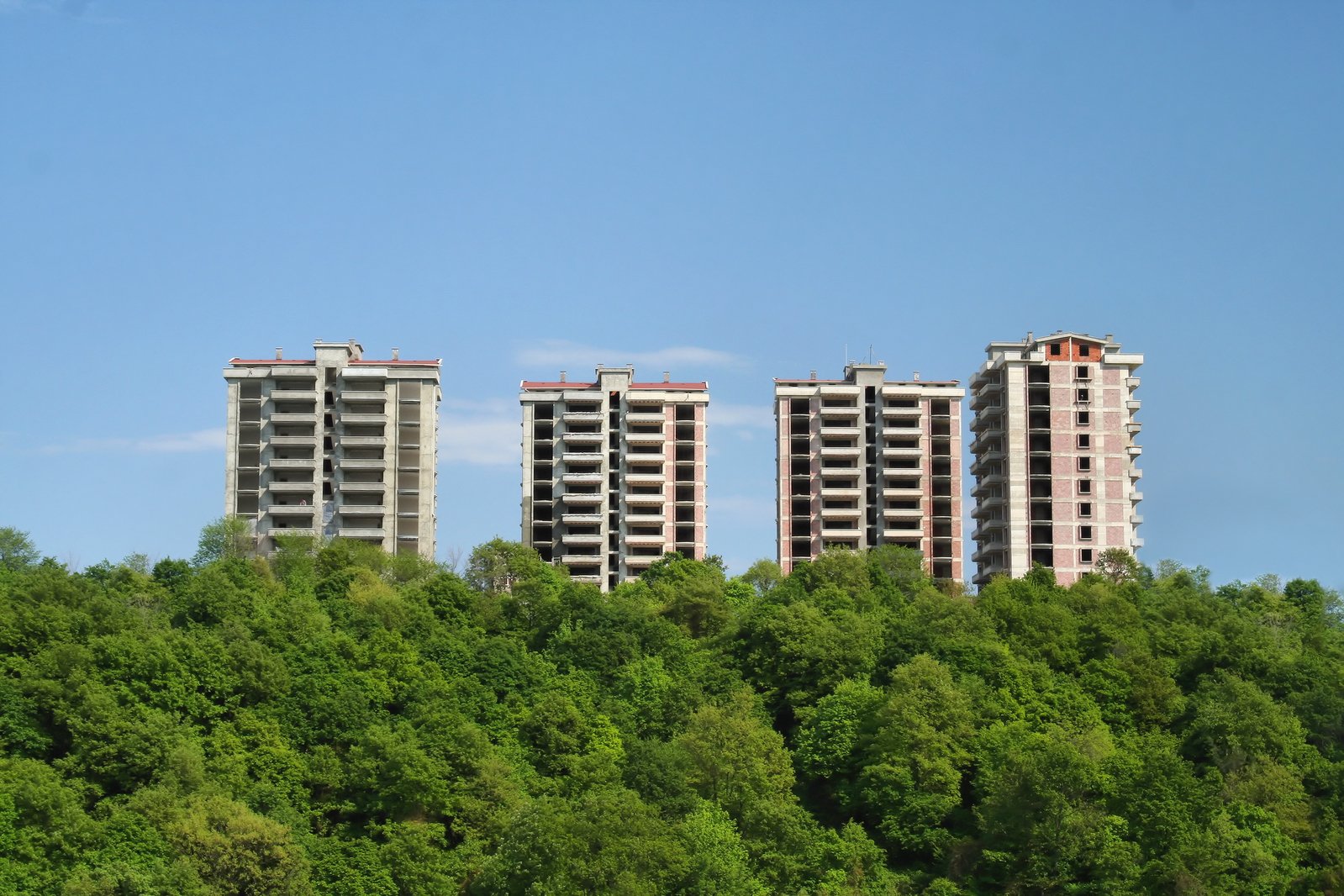 the tall buildings are surrounded by lush green trees