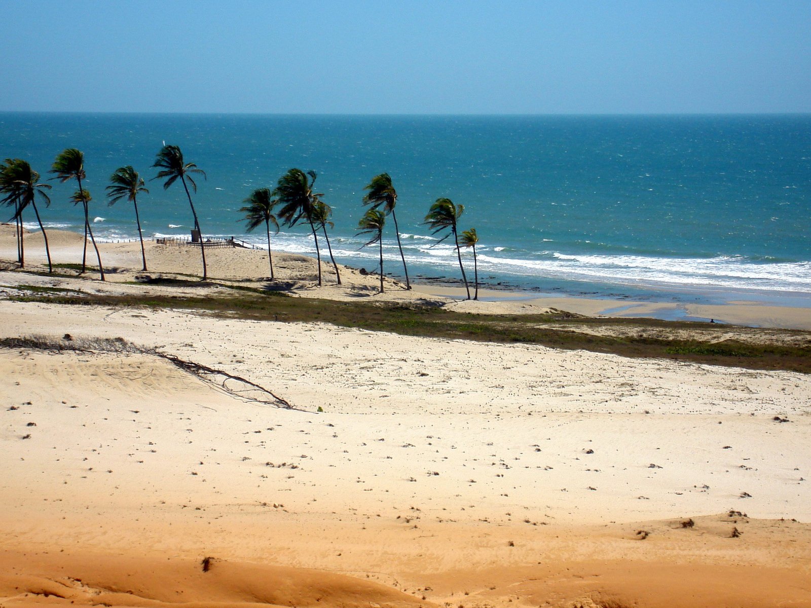 an empty beach surrounded by palm trees